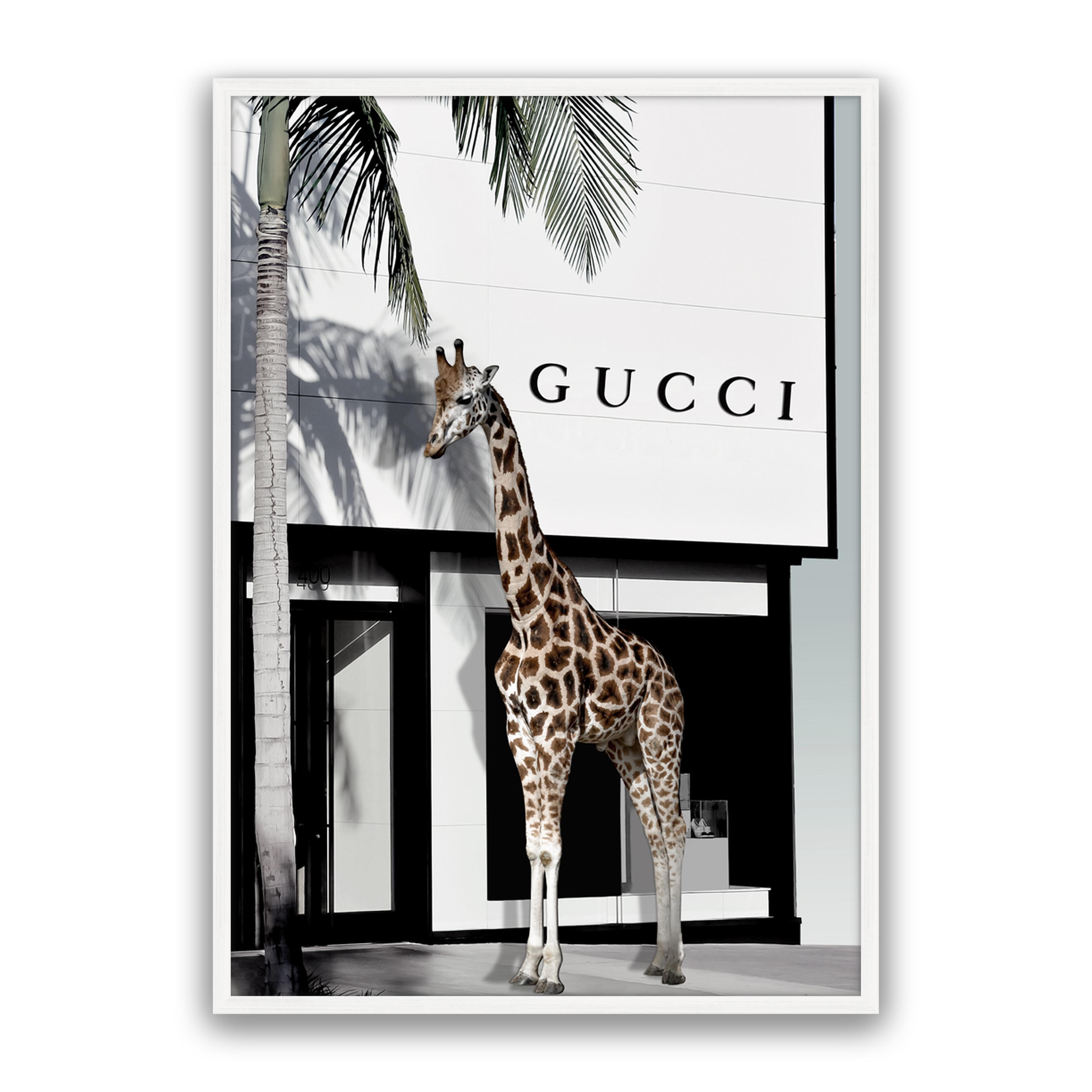 Fashion Safari