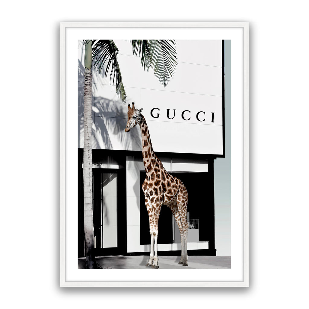 Fashion Safari