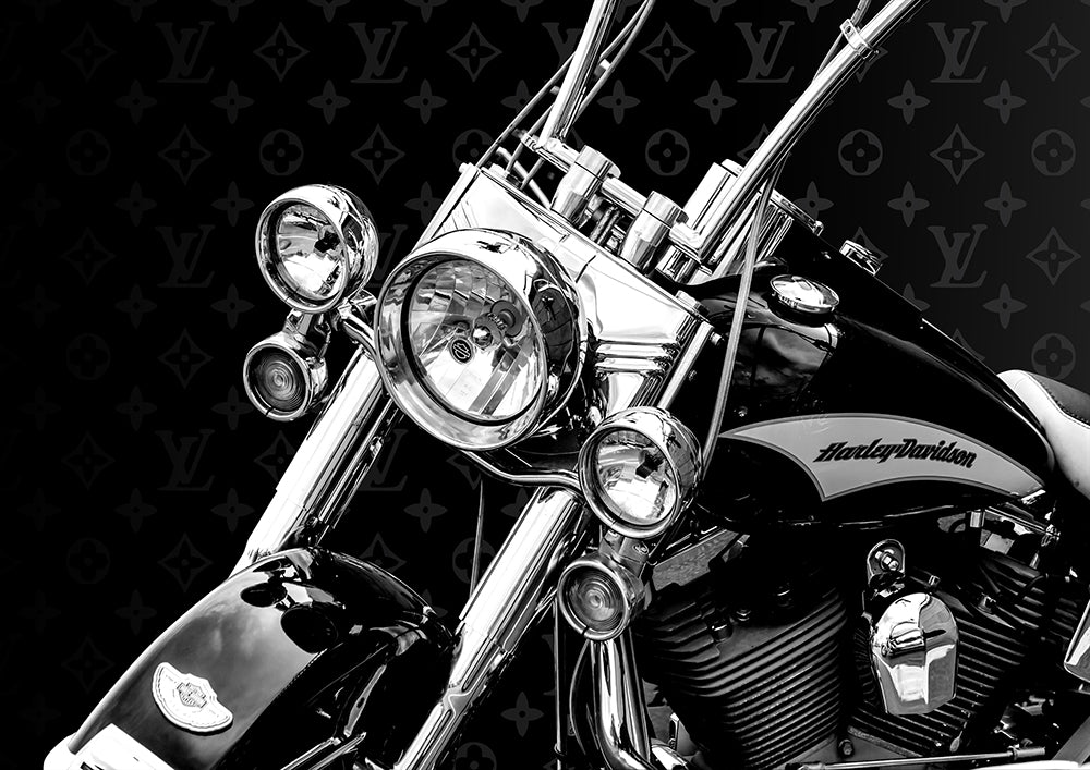 Rider
