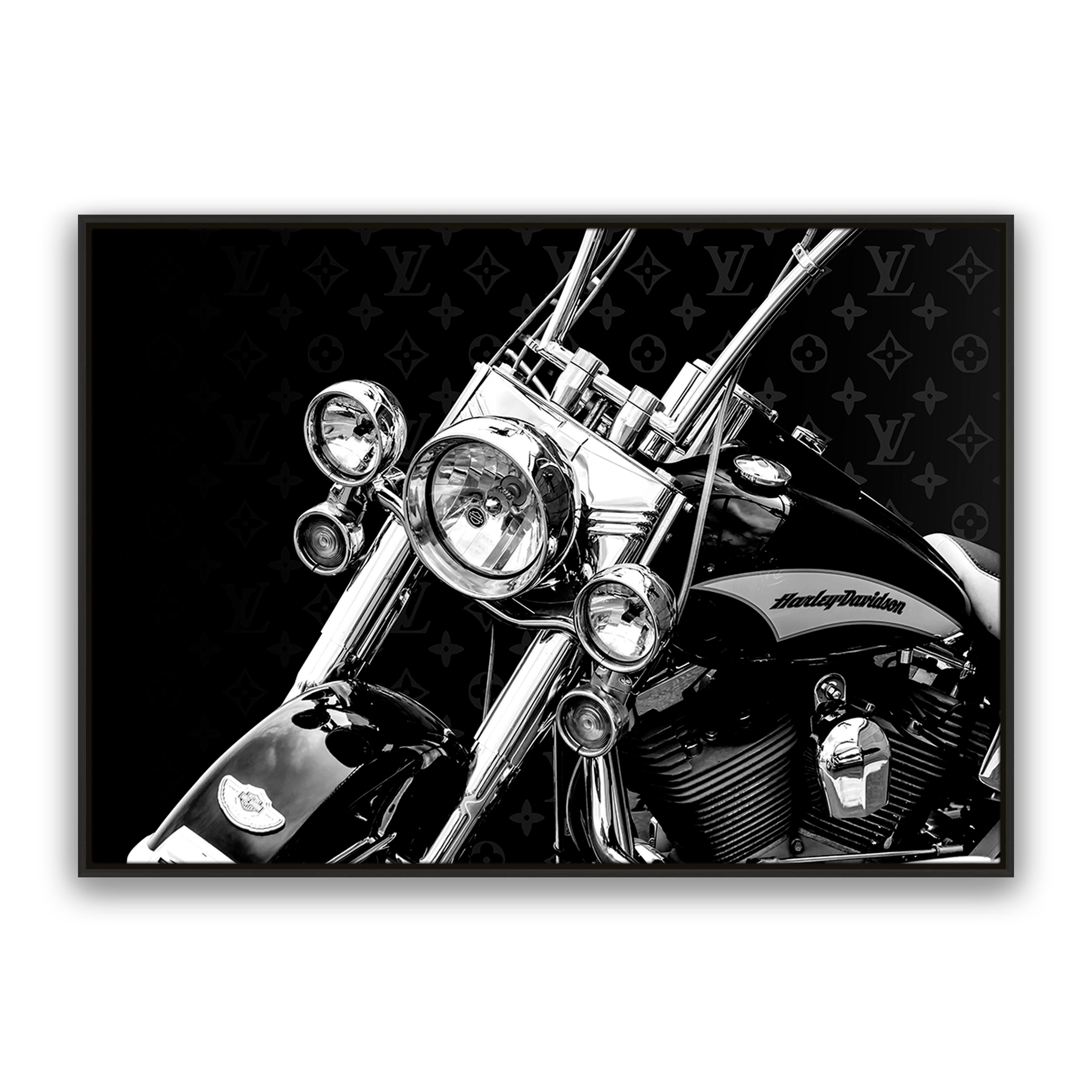 Rider
