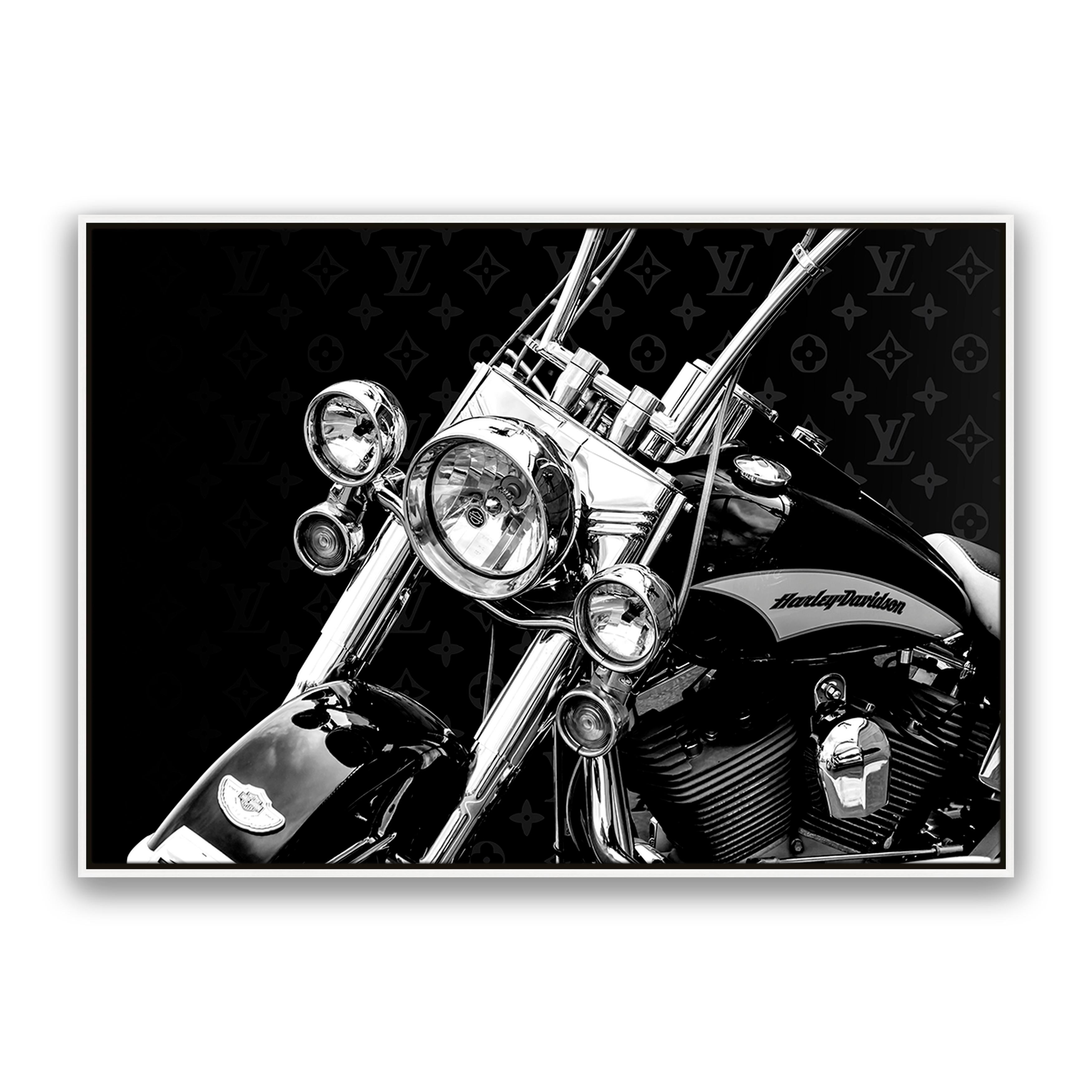 Rider