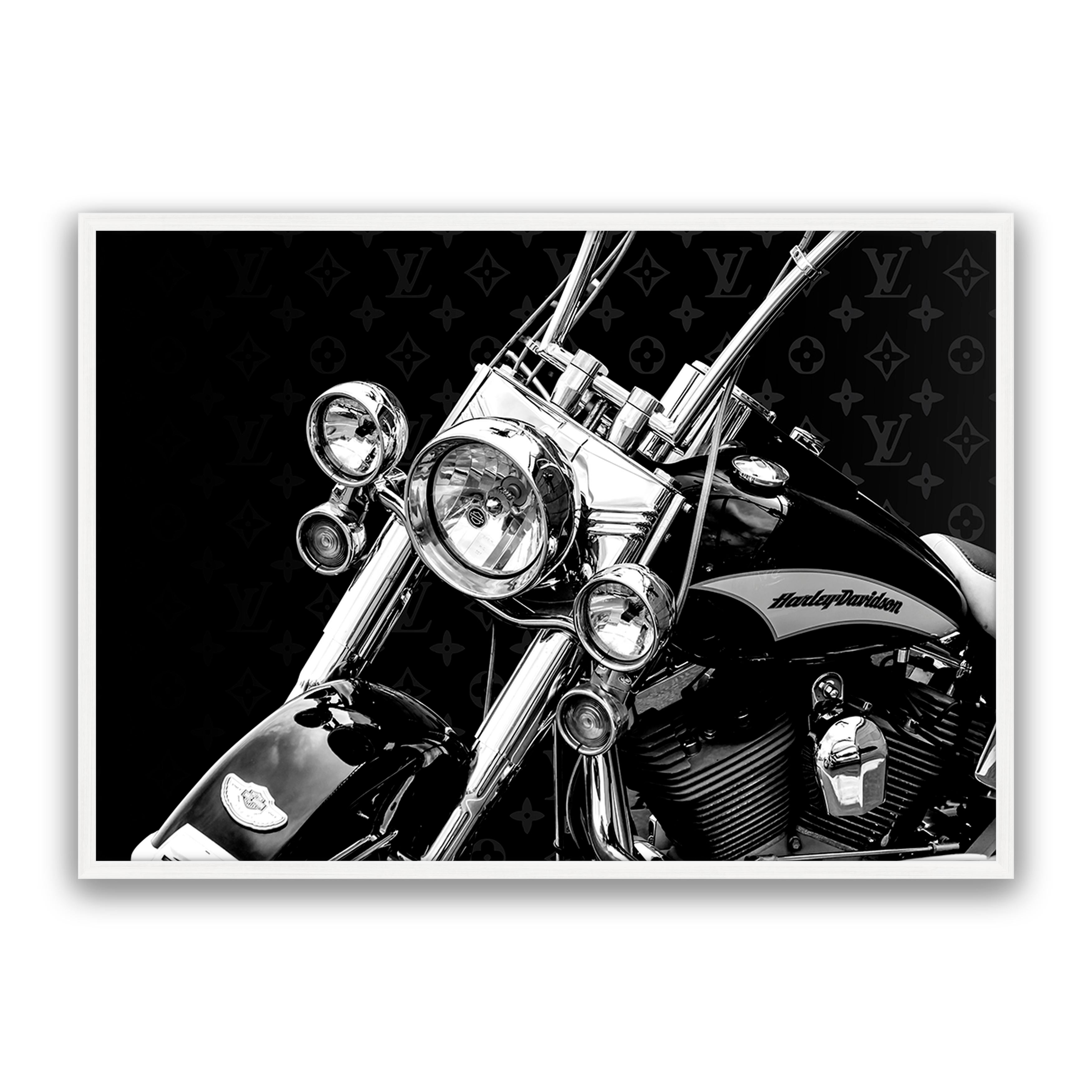 Rider