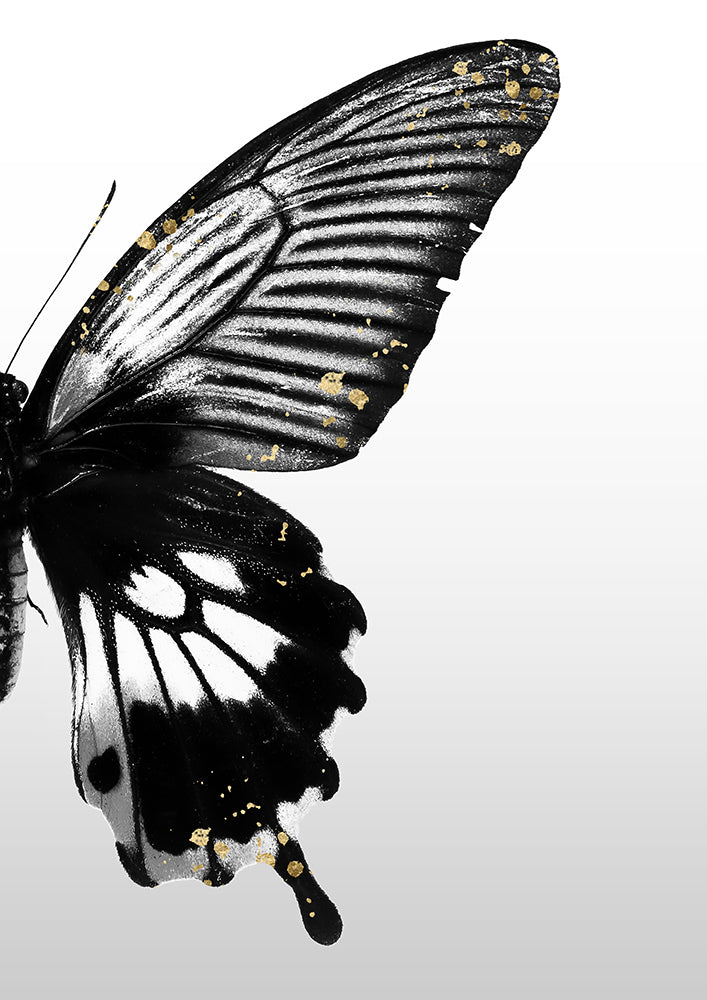 Butterfly Effect