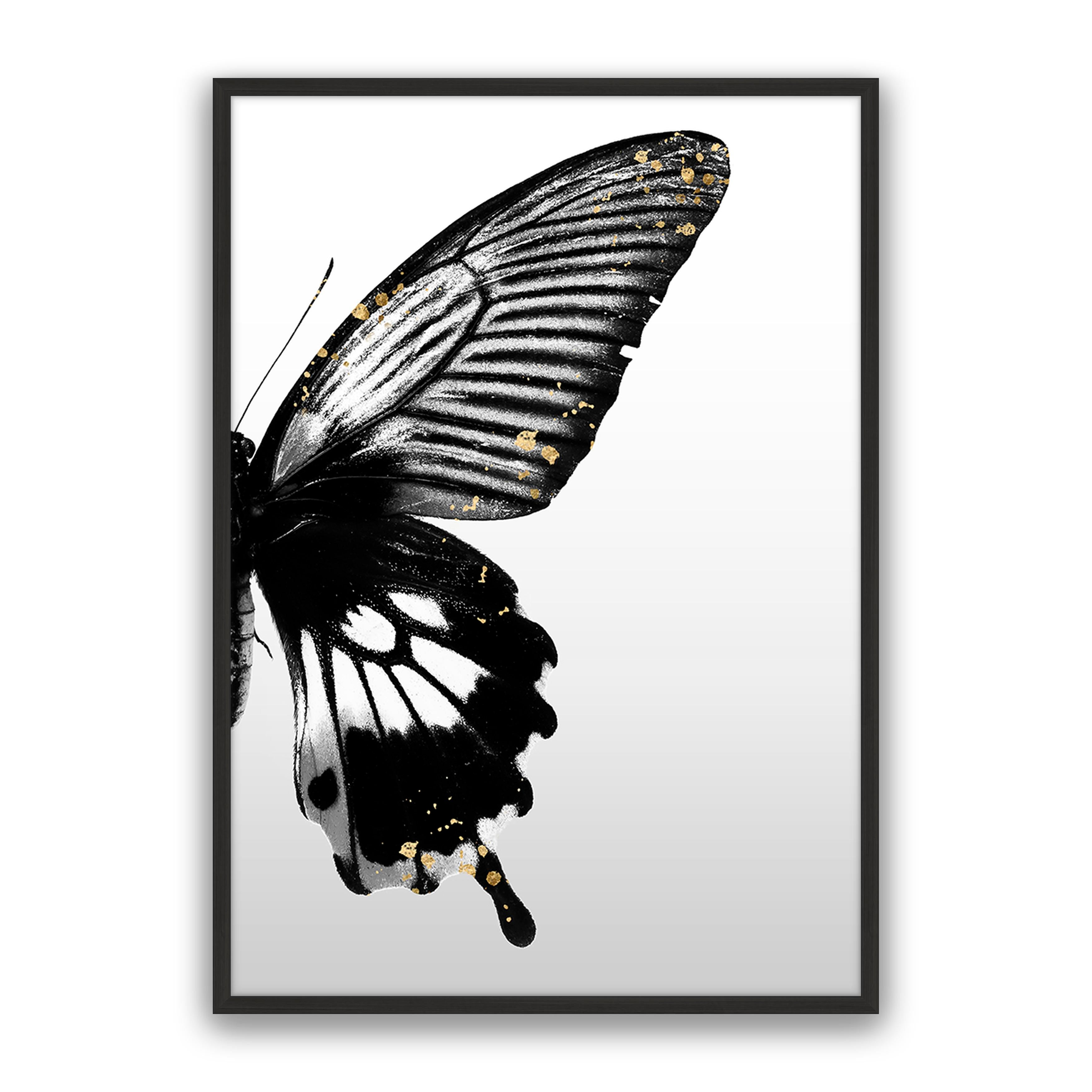 Butterfly Effect