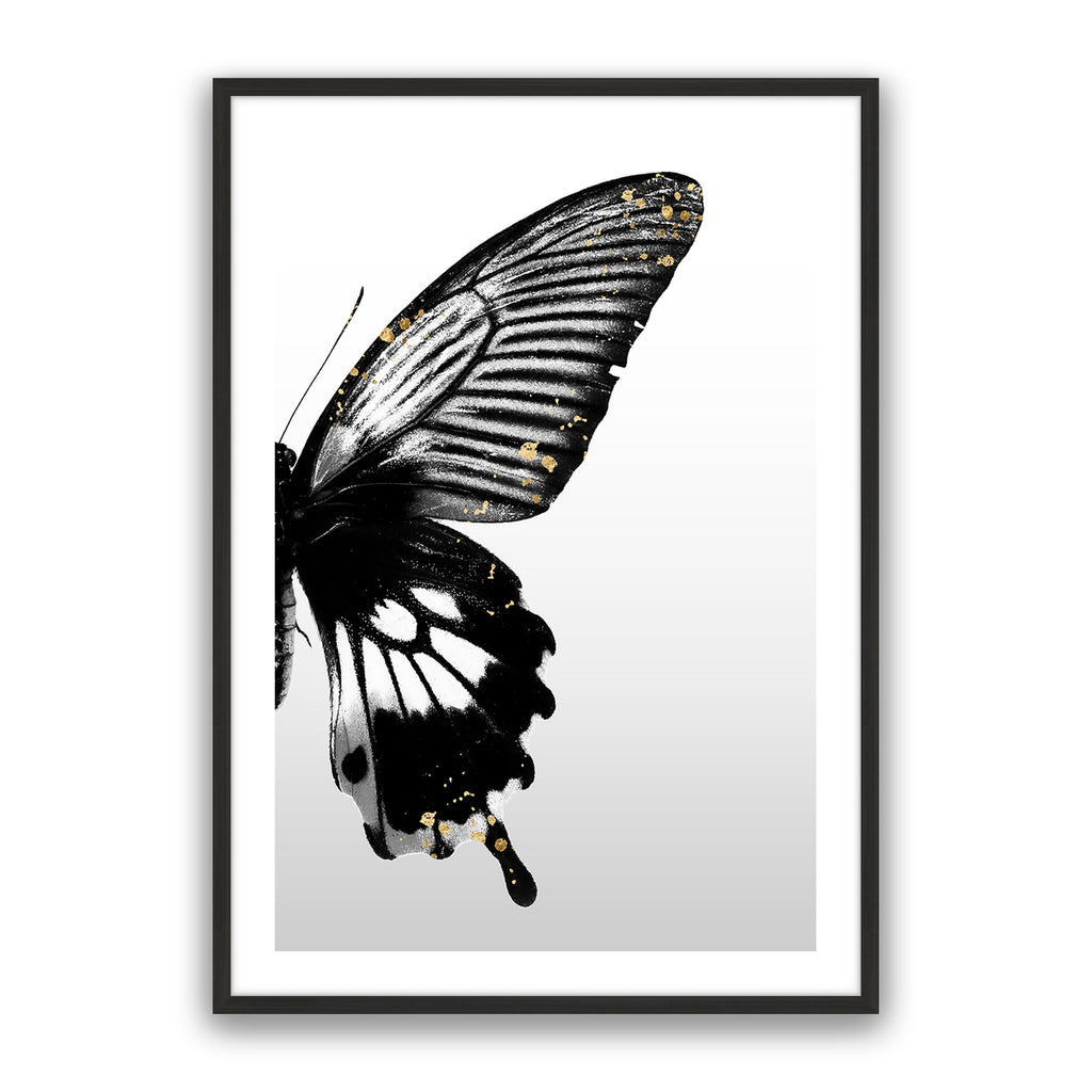 Butterfly Effect