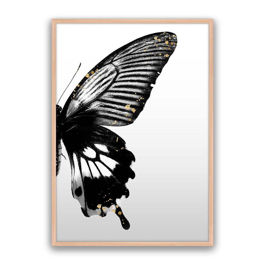 Butterfly Effect