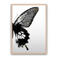 Butterfly Effect
