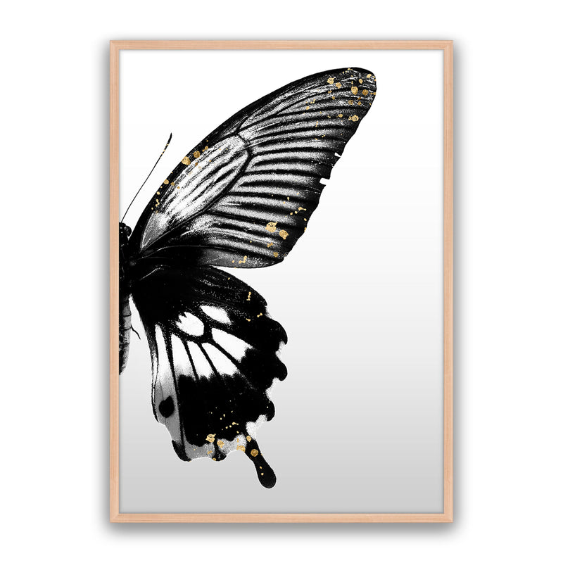 Butterfly Effect