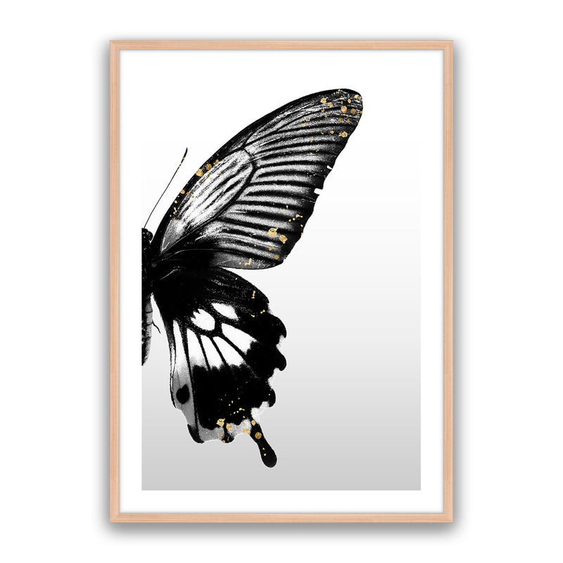 Butterfly Effect