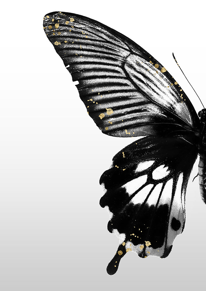 Butterfly Effect
