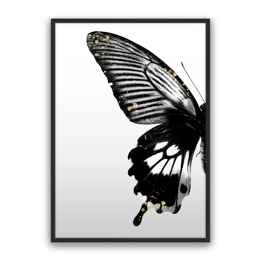 Butterfly Effect