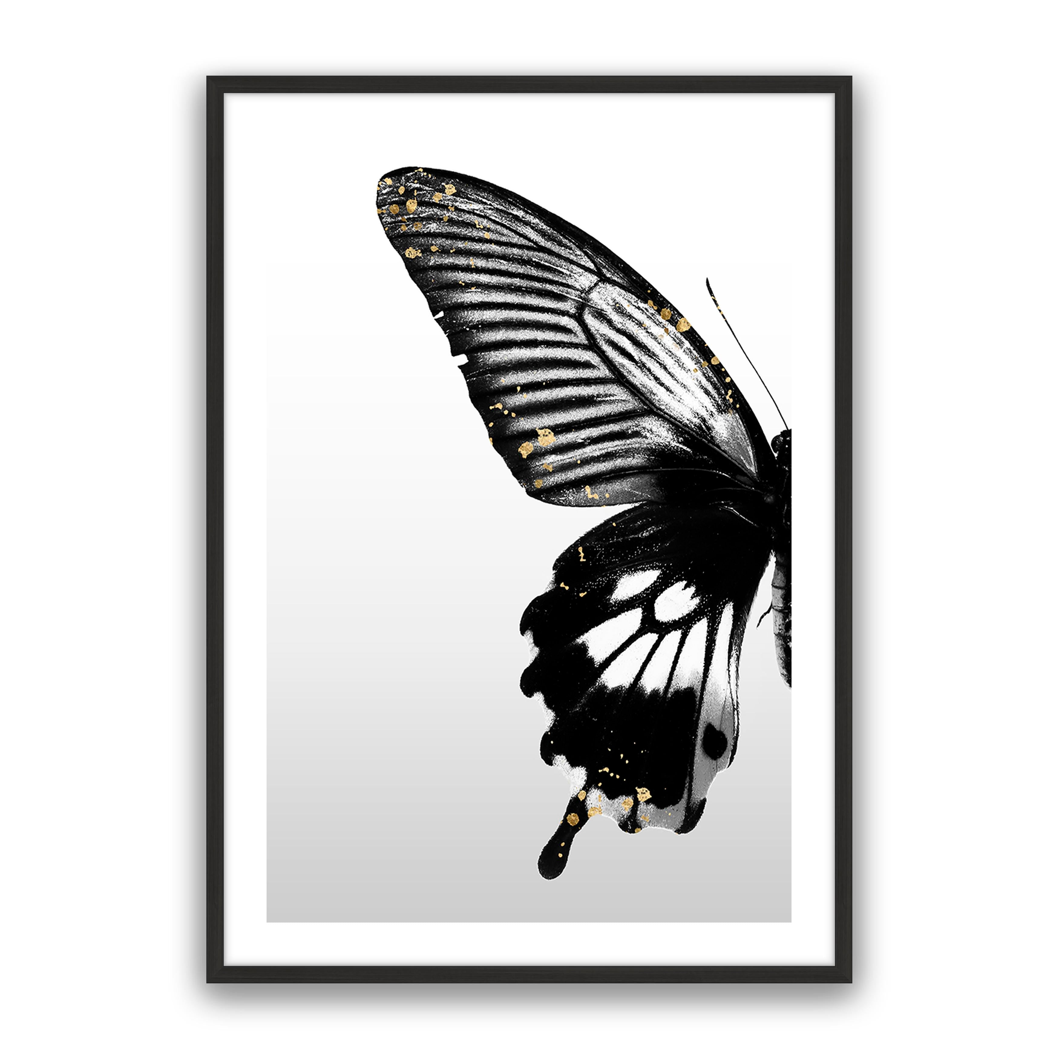 Butterfly Effect