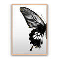 Butterfly Effect