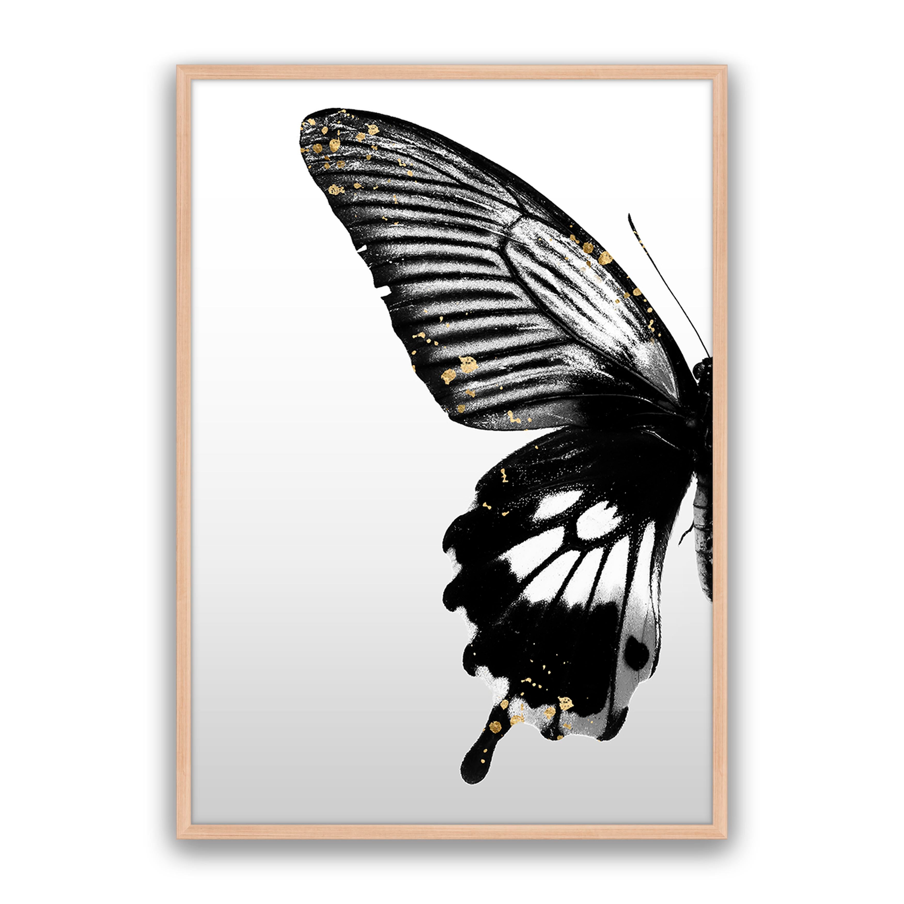 Butterfly Effect