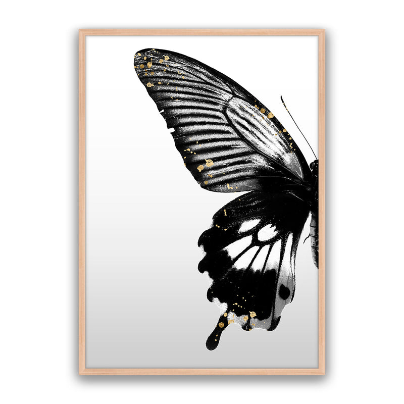Butterfly Effect