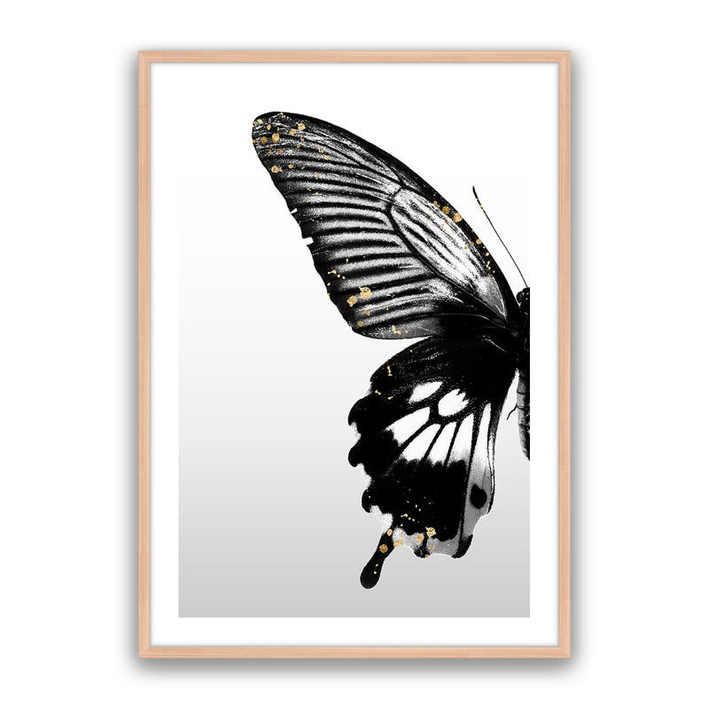 Butterfly Effect