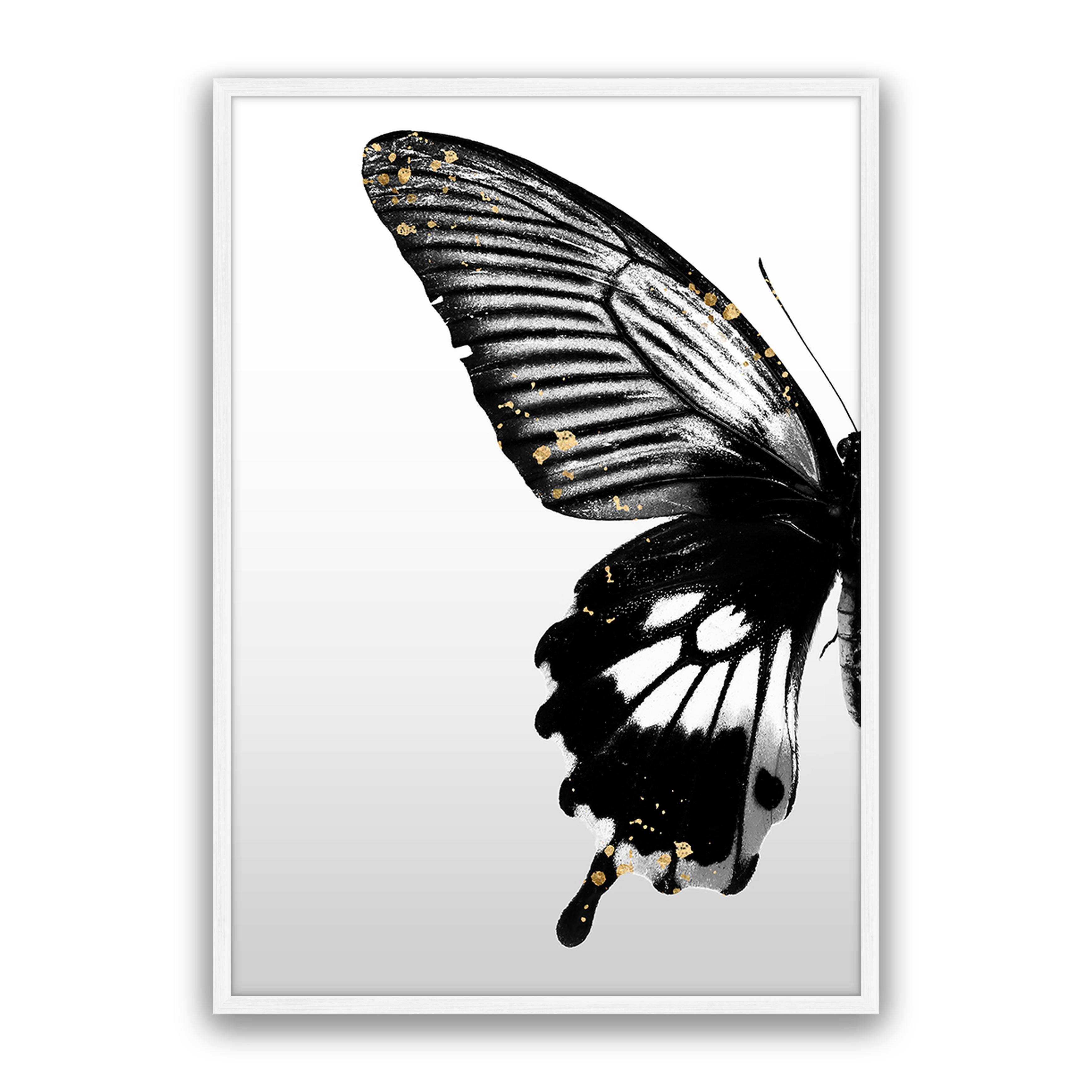 Butterfly Effect