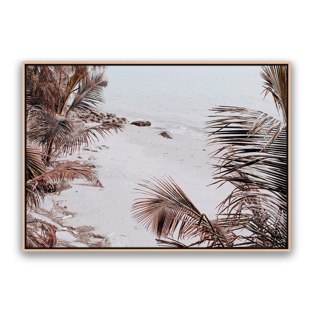 Palm Shadow