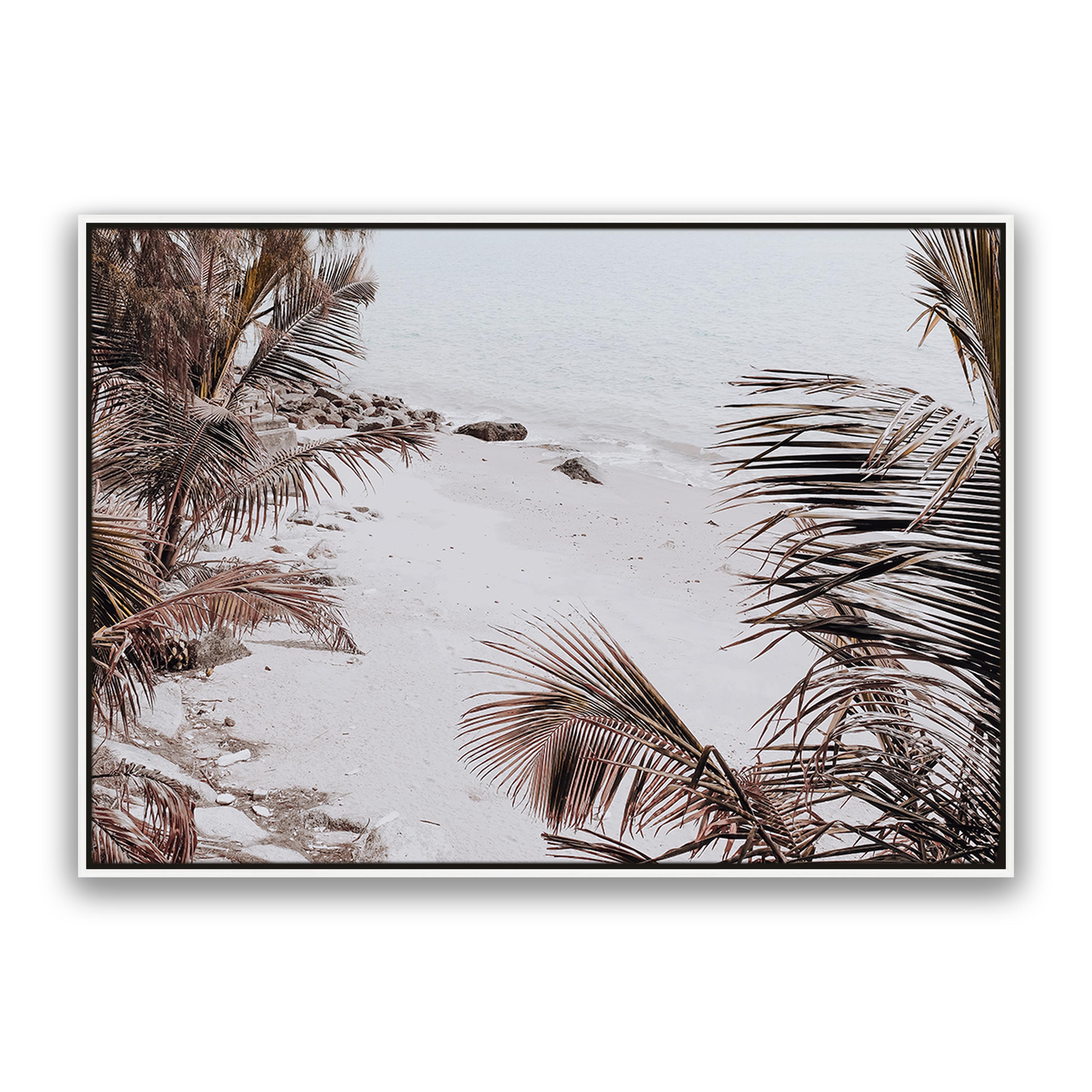 Palm Shadow