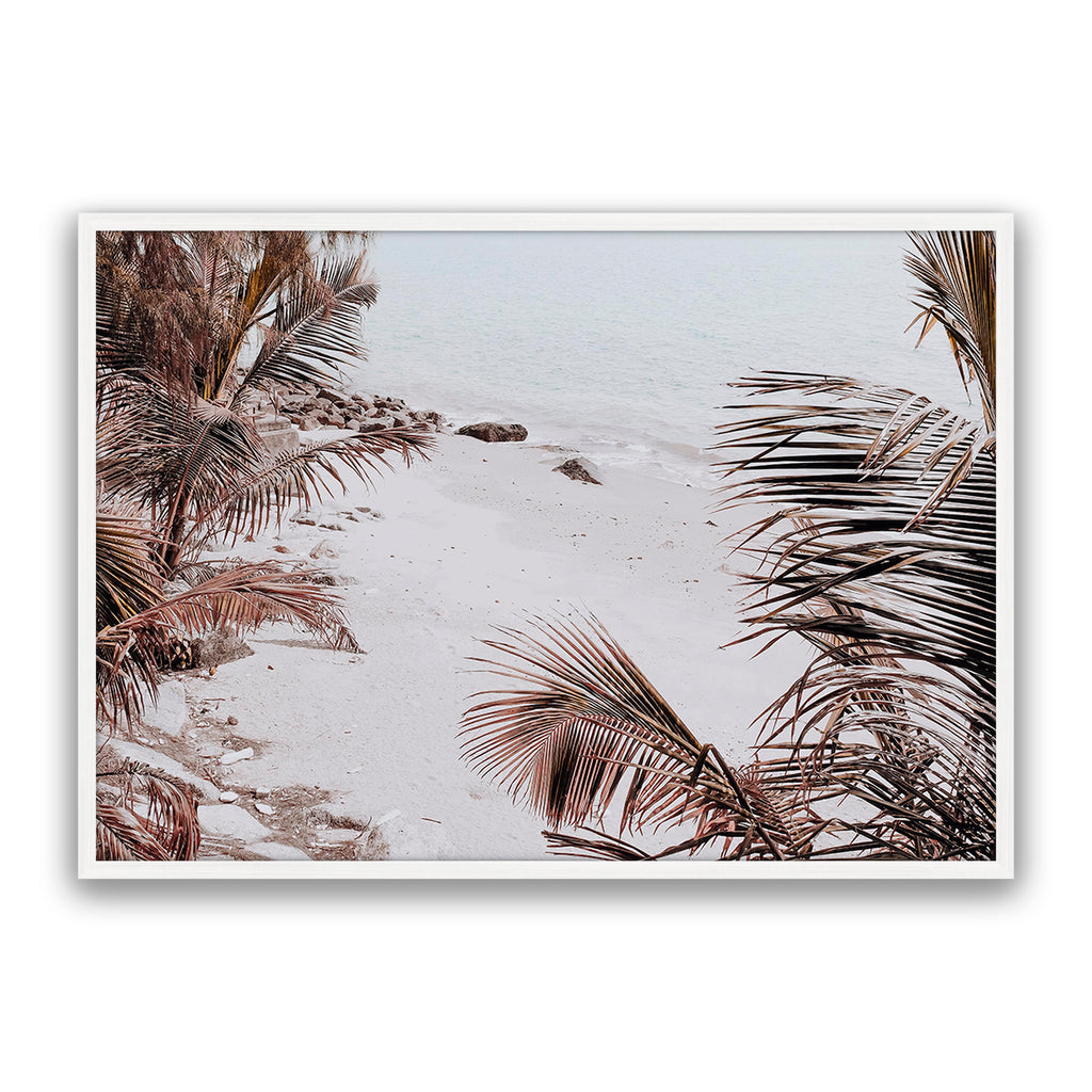 Palm Shadow