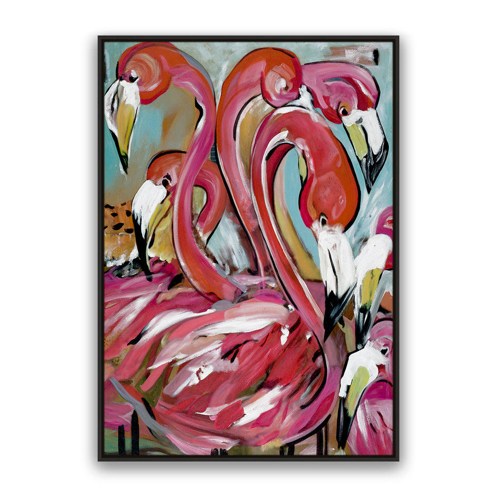 Miami Birds