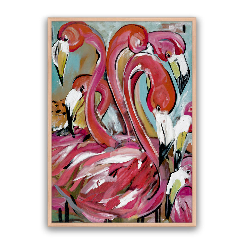 Miami Birds