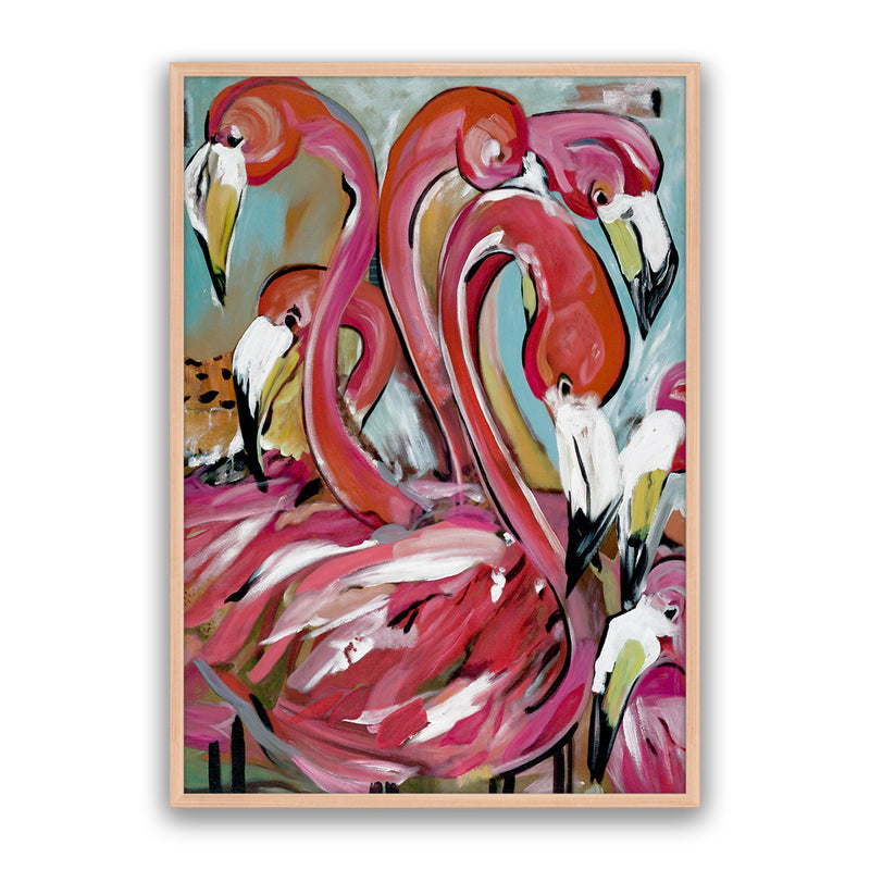Miami Birds