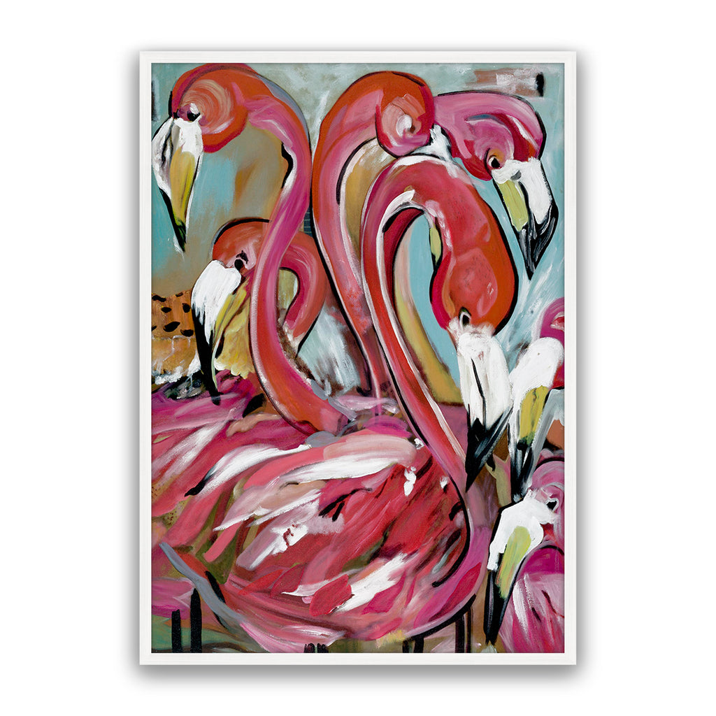 Miami Birds