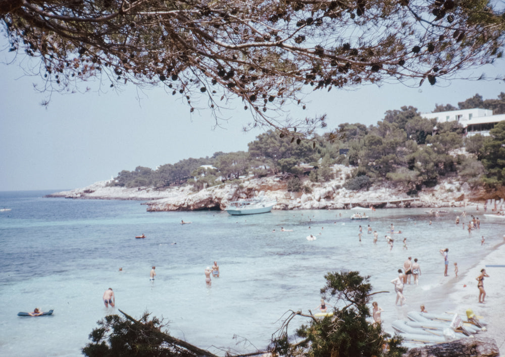 Vintage Summer