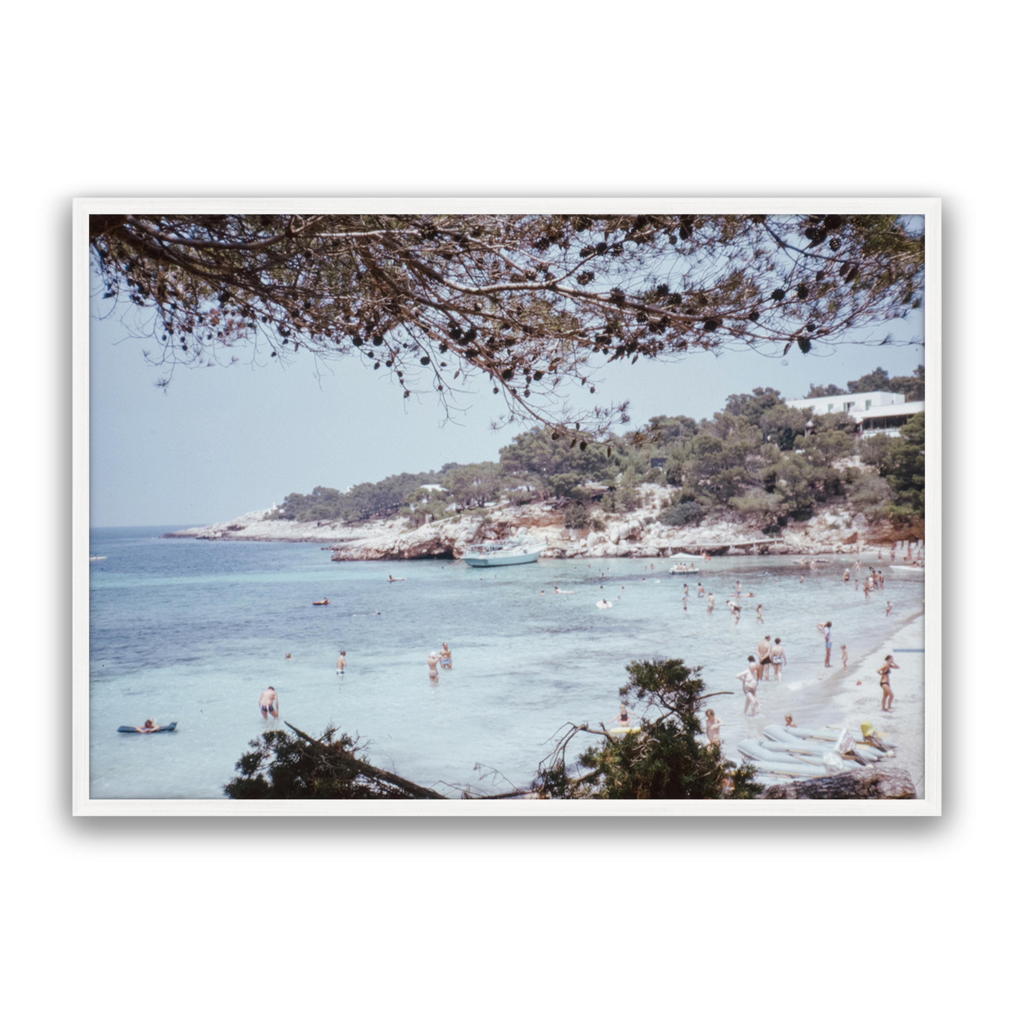 Vintage Summer
