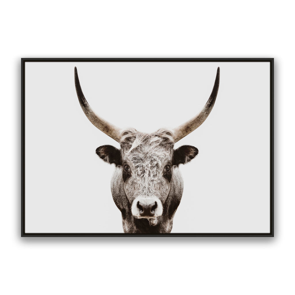 Ranger