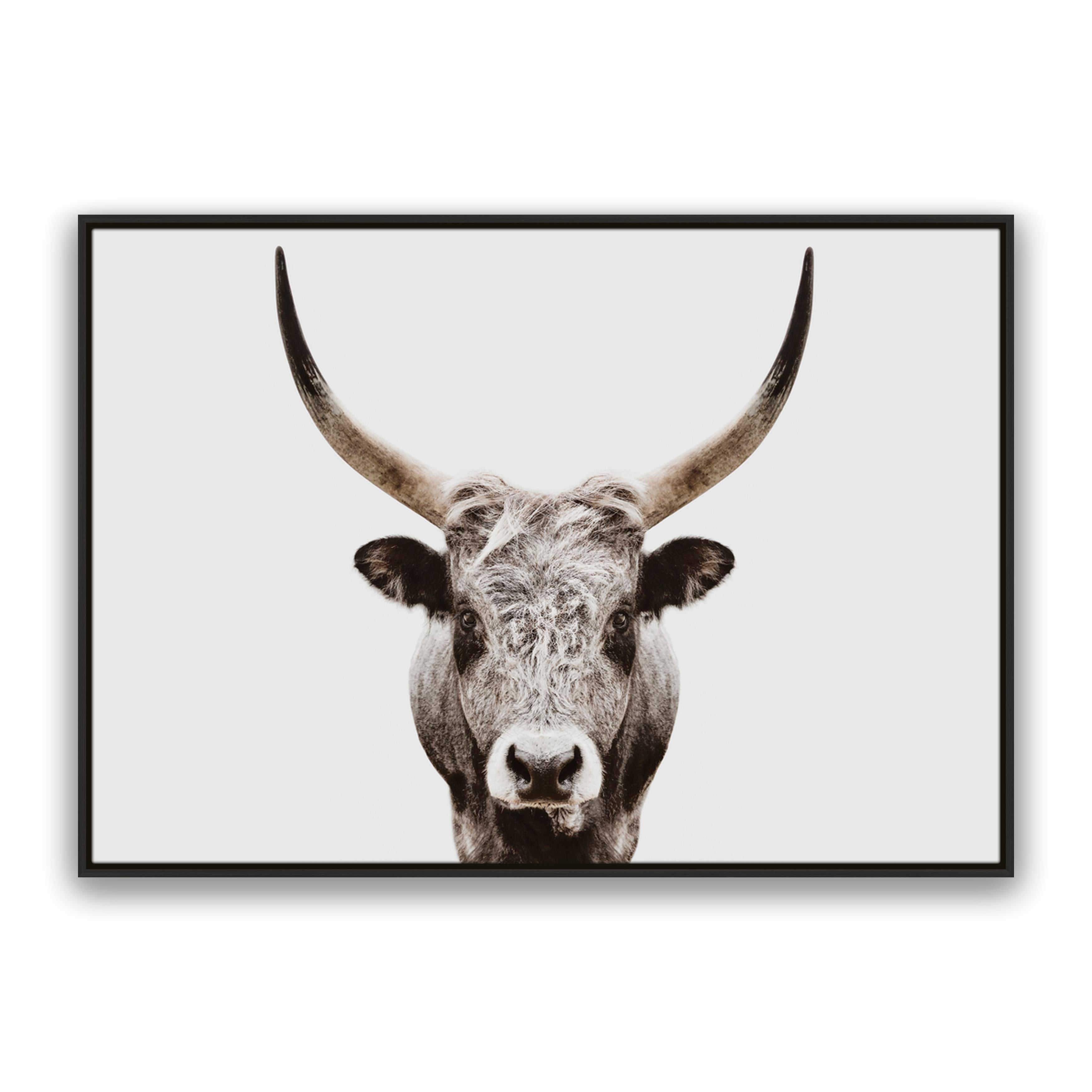 Ranger