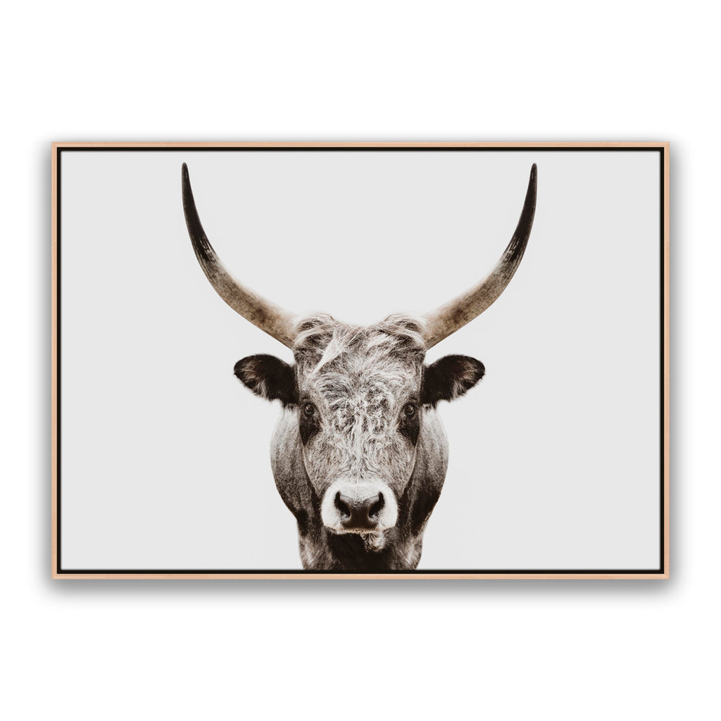 Ranger