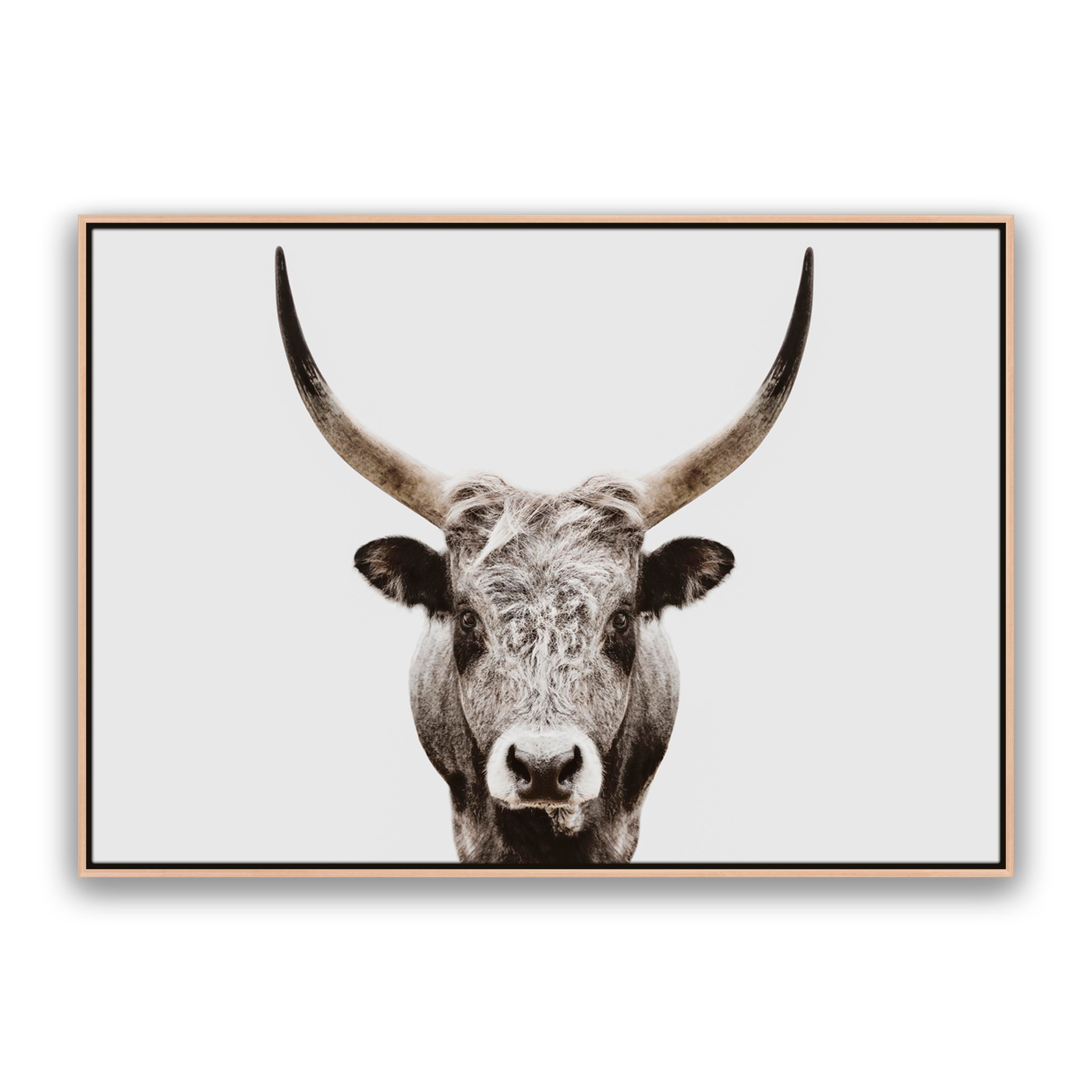 Ranger