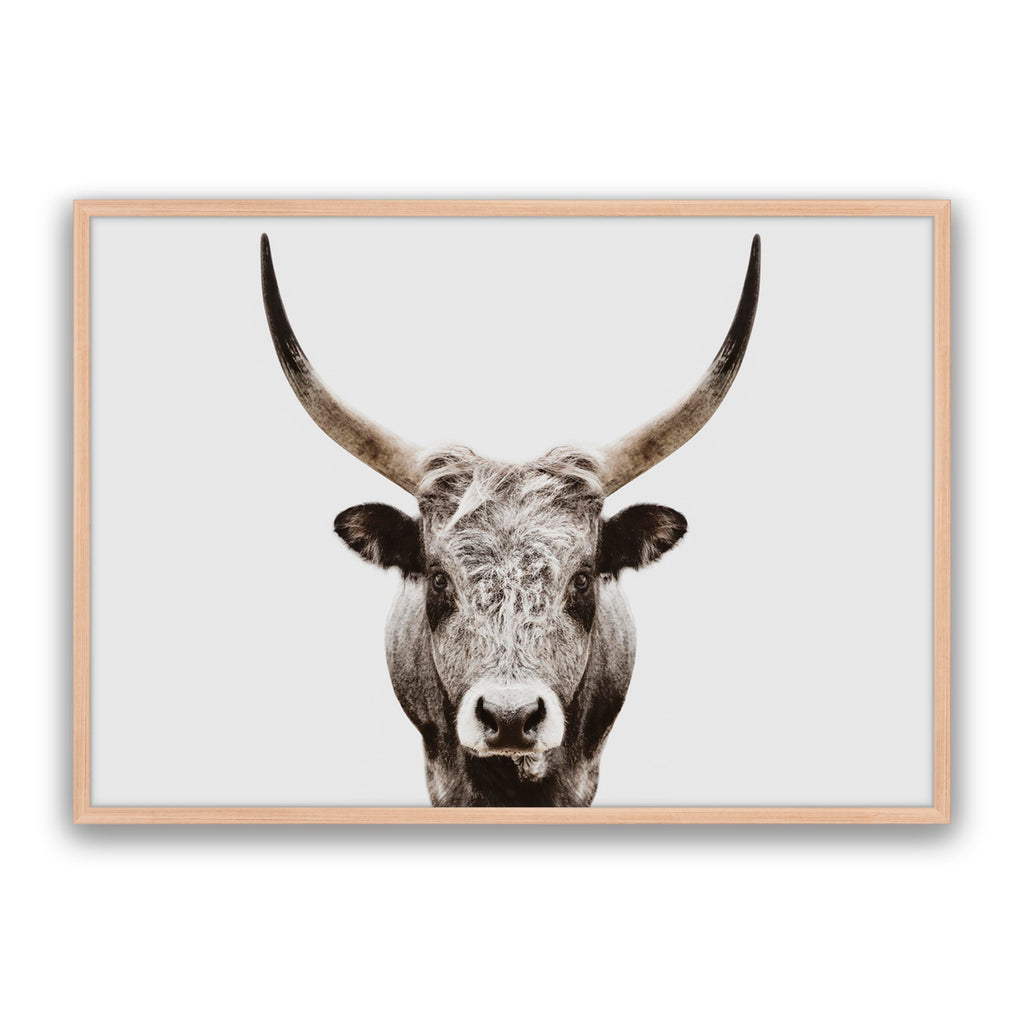 Ranger