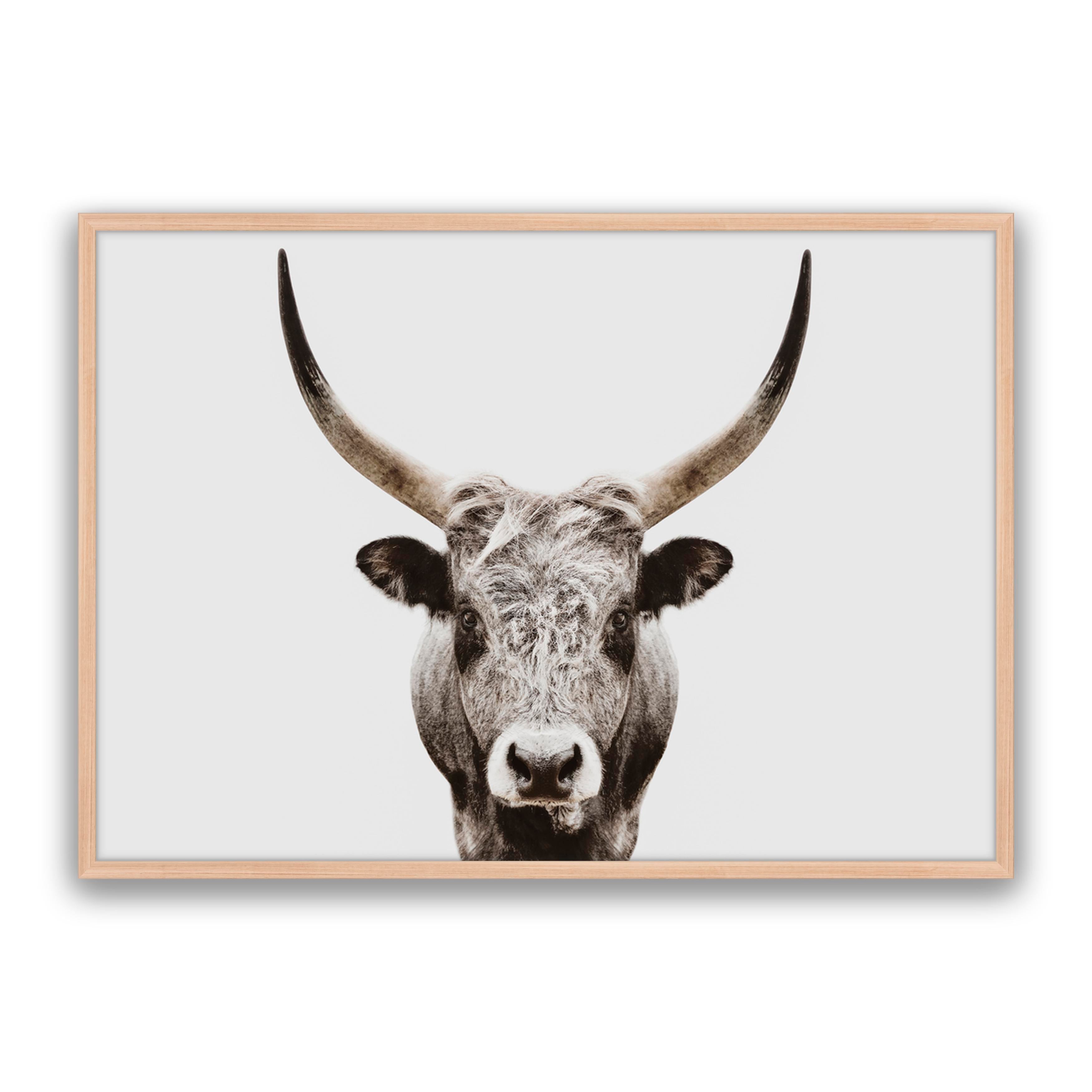 Ranger