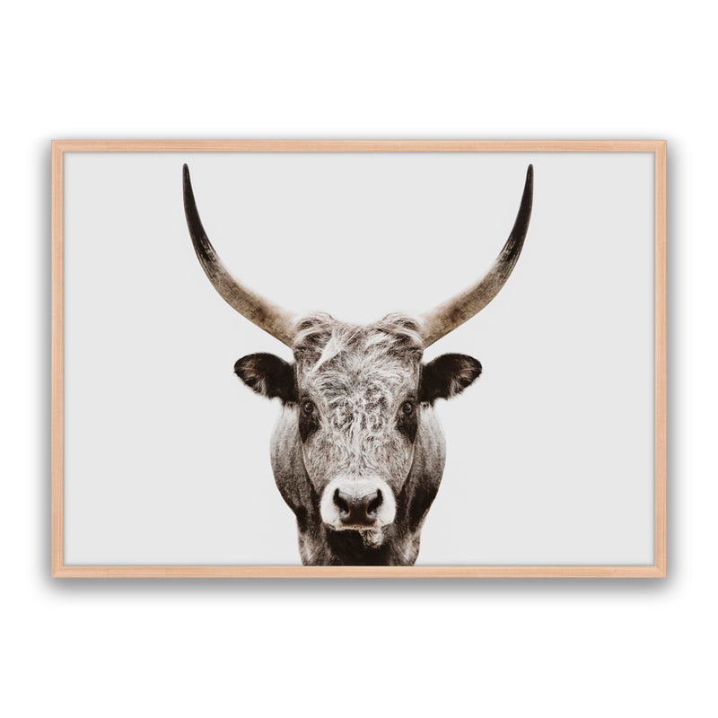 Ranger