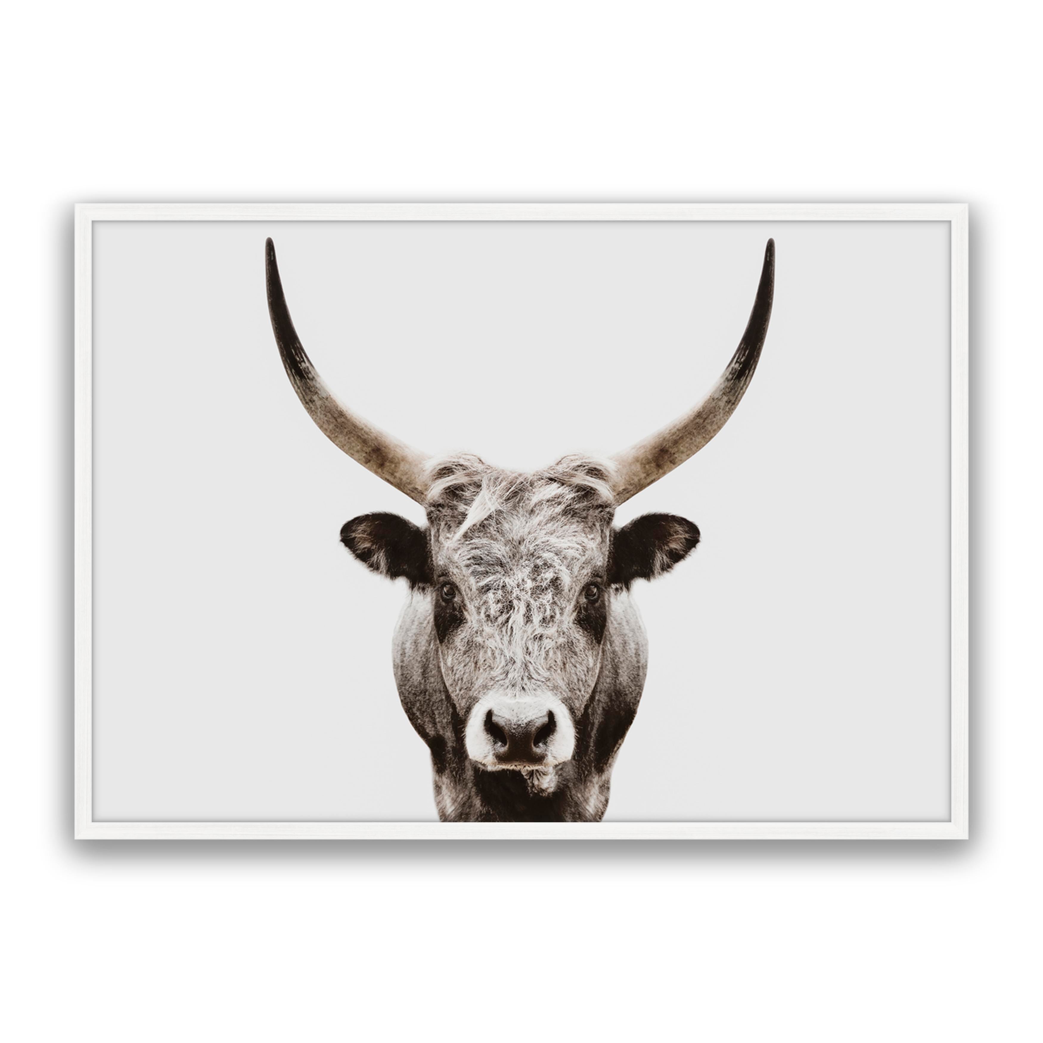 Ranger