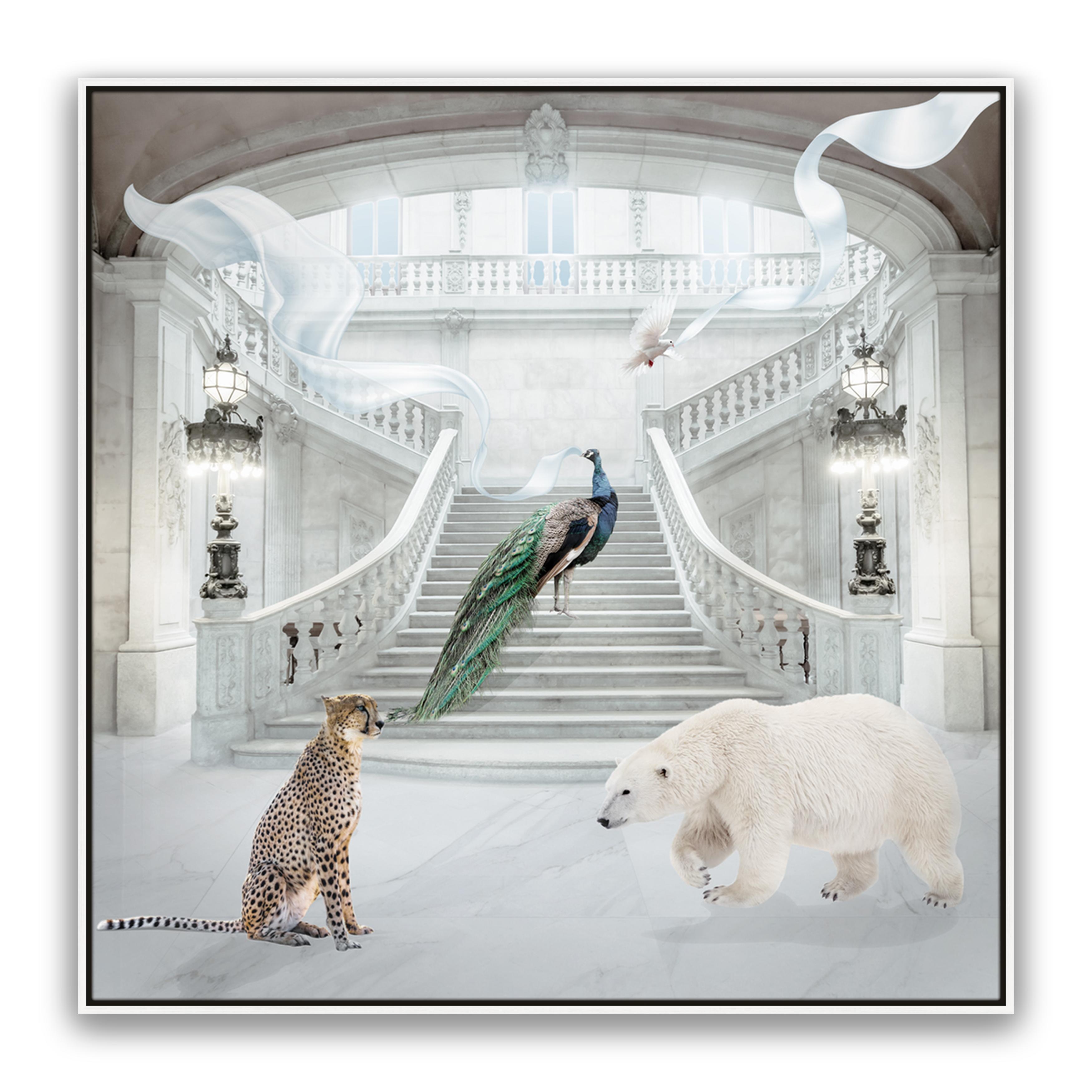 Enchanted Entrance