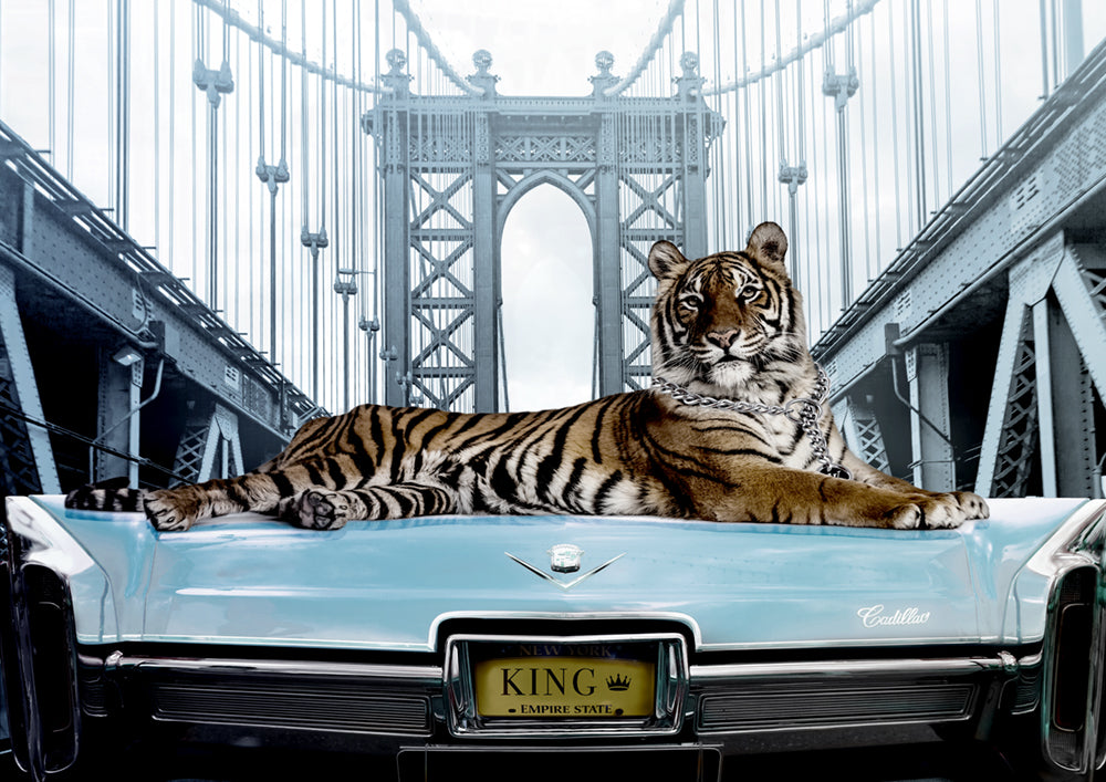 King Of Queens