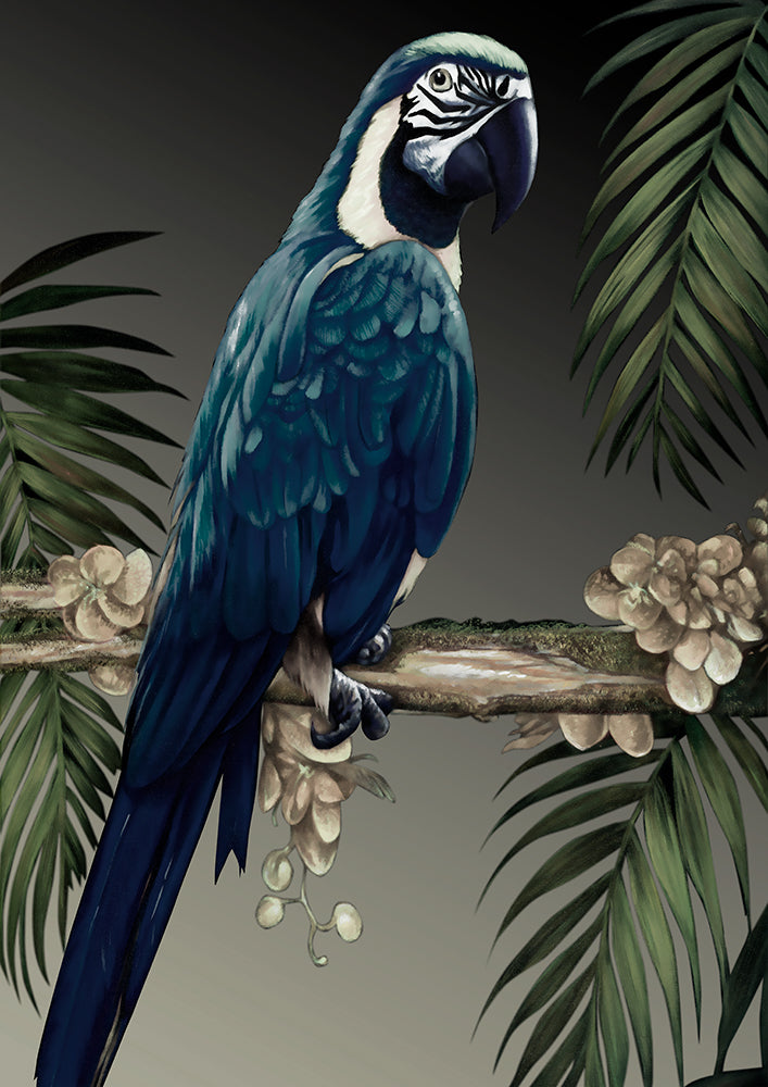 Blue Parrot