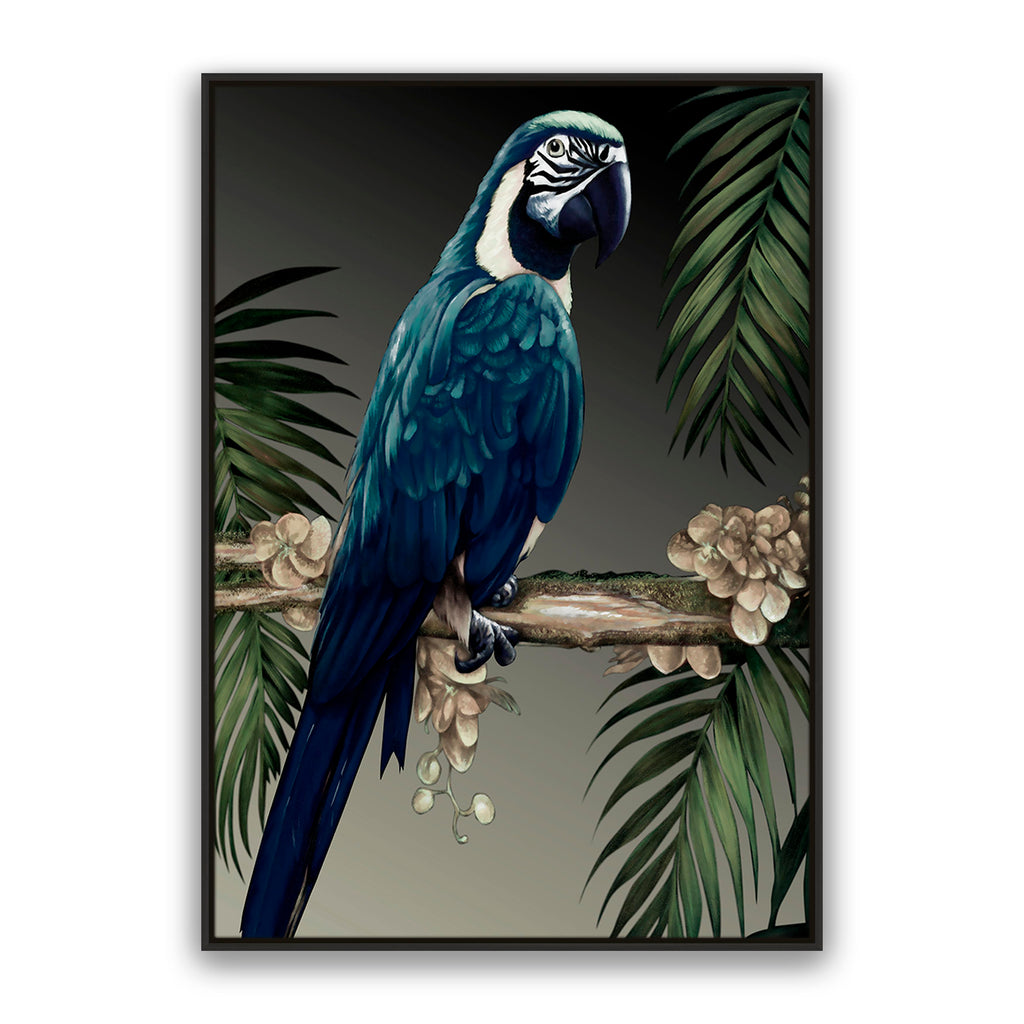 Blue Parrot