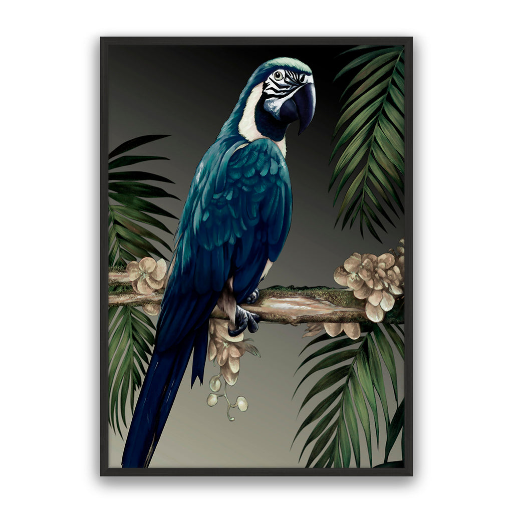 Blue Parrot