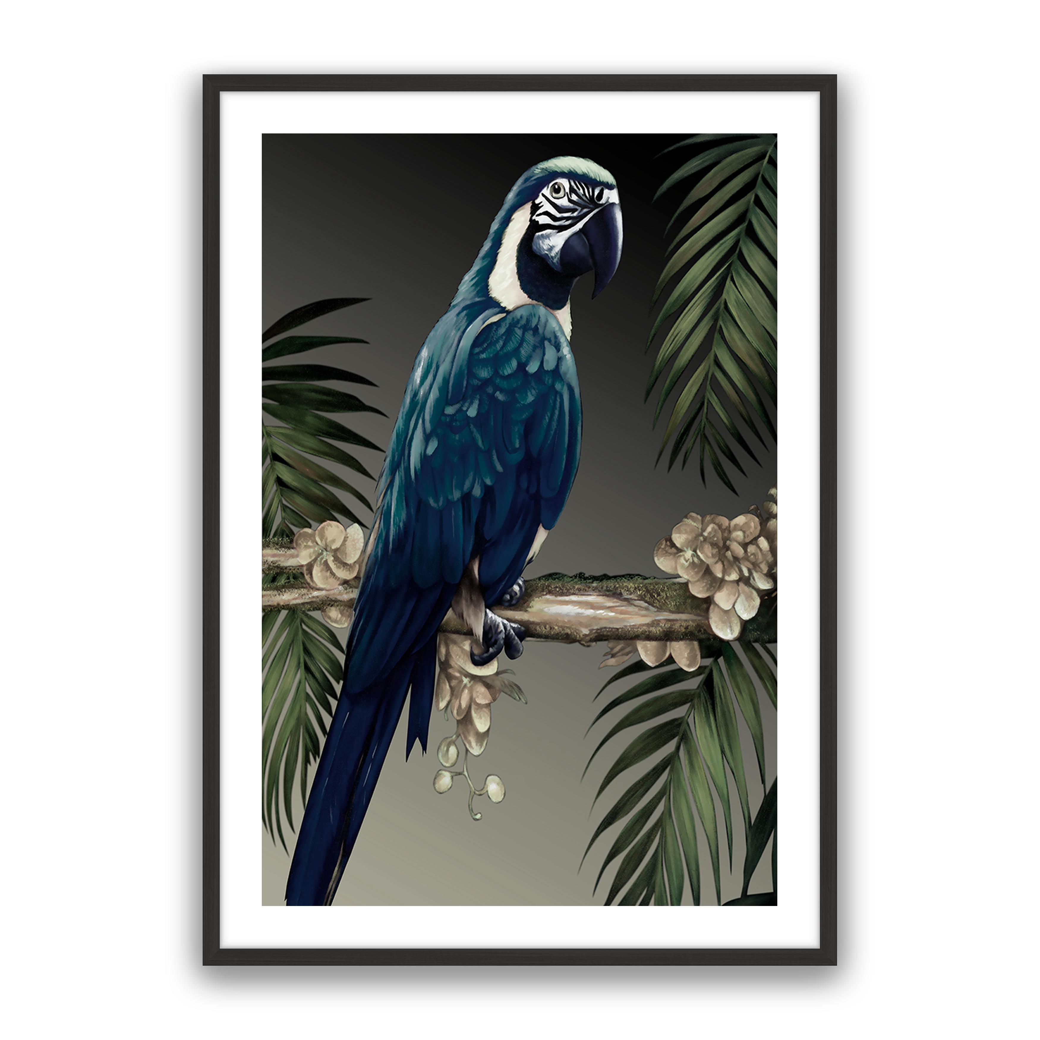 Blue Parrot