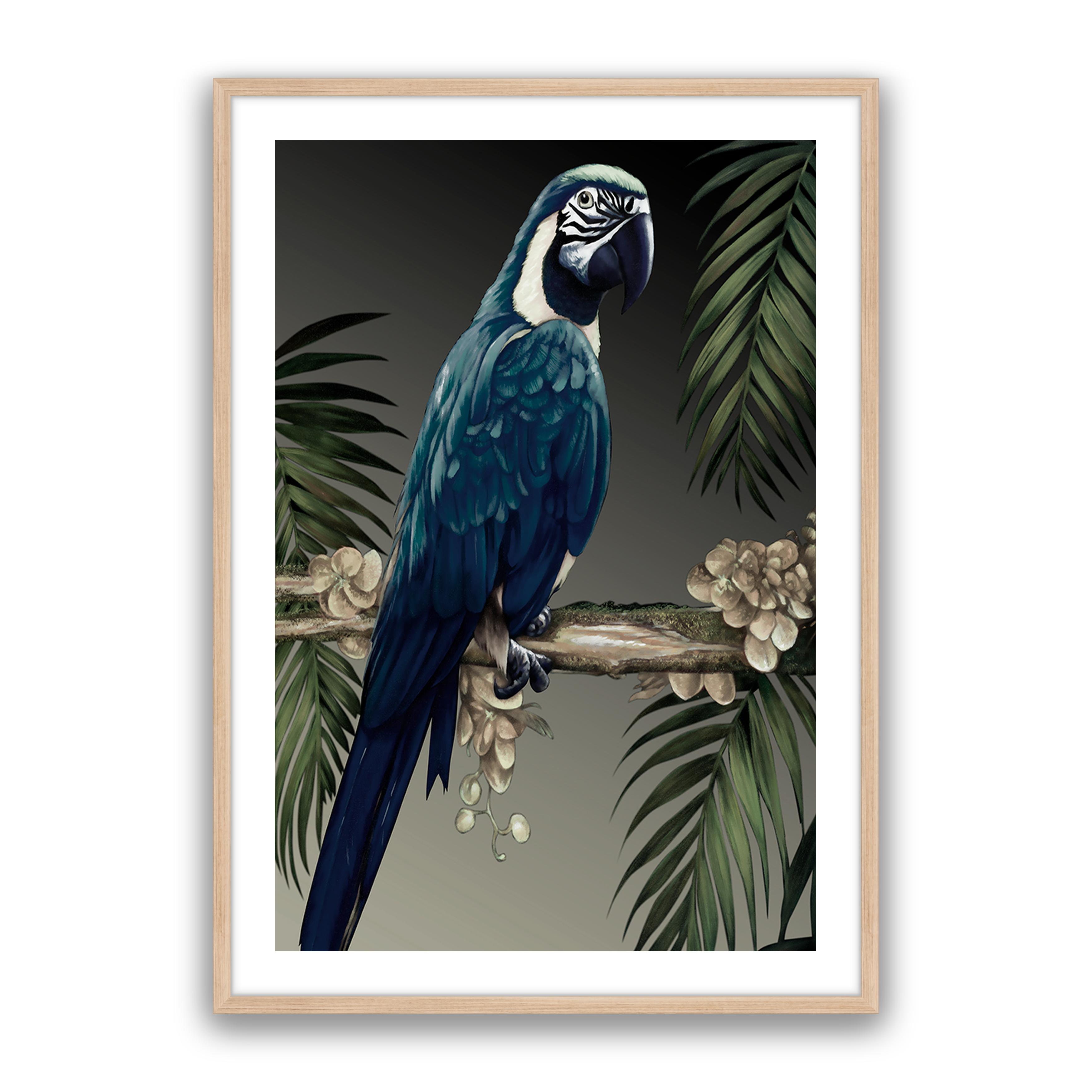 Blue Parrot