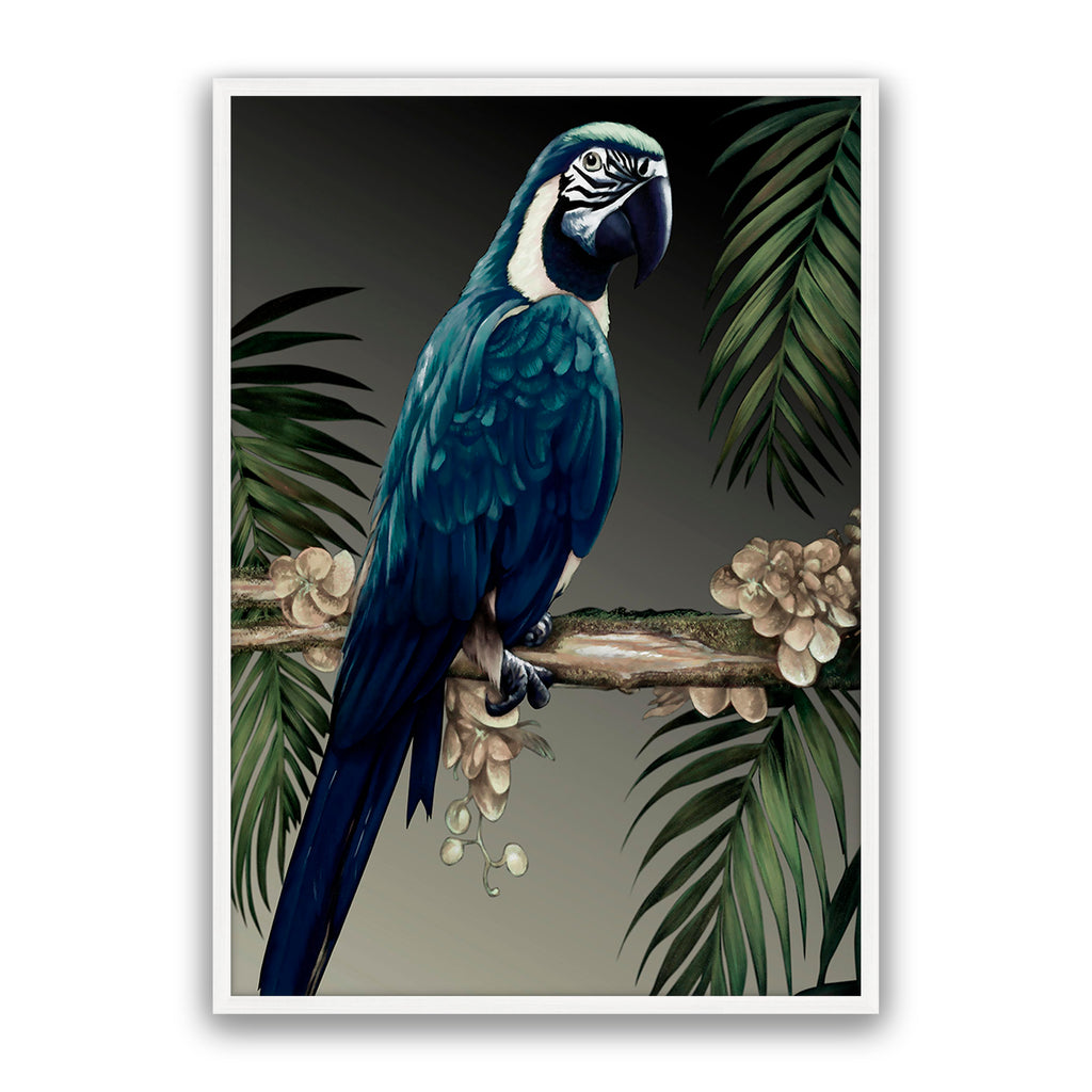Blue Parrot
