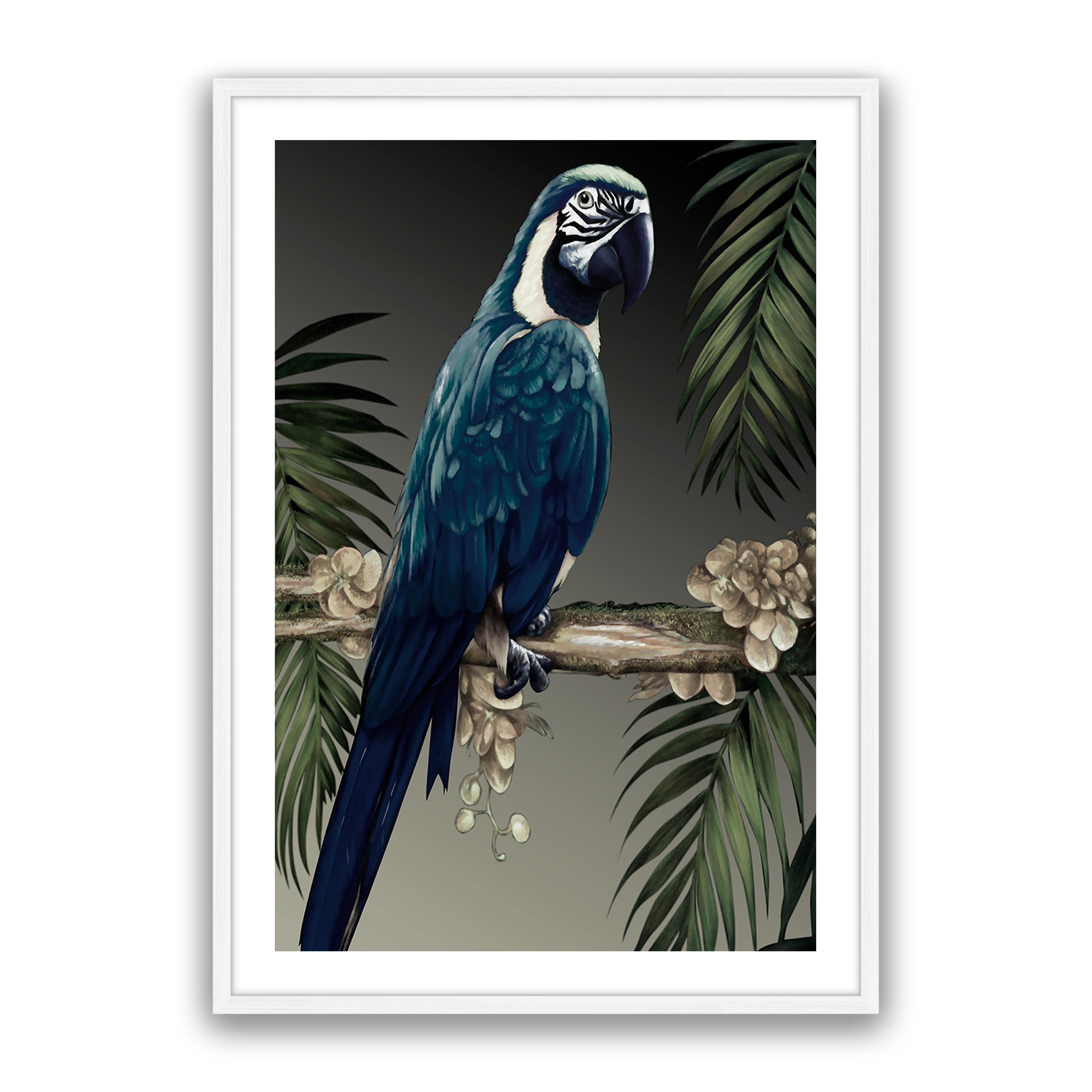 Blue Parrot
