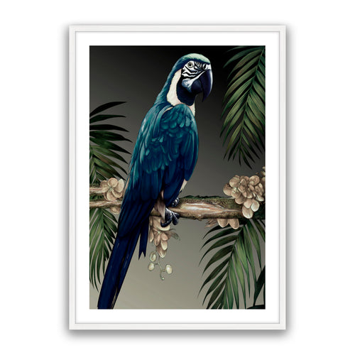 Blue Parrot