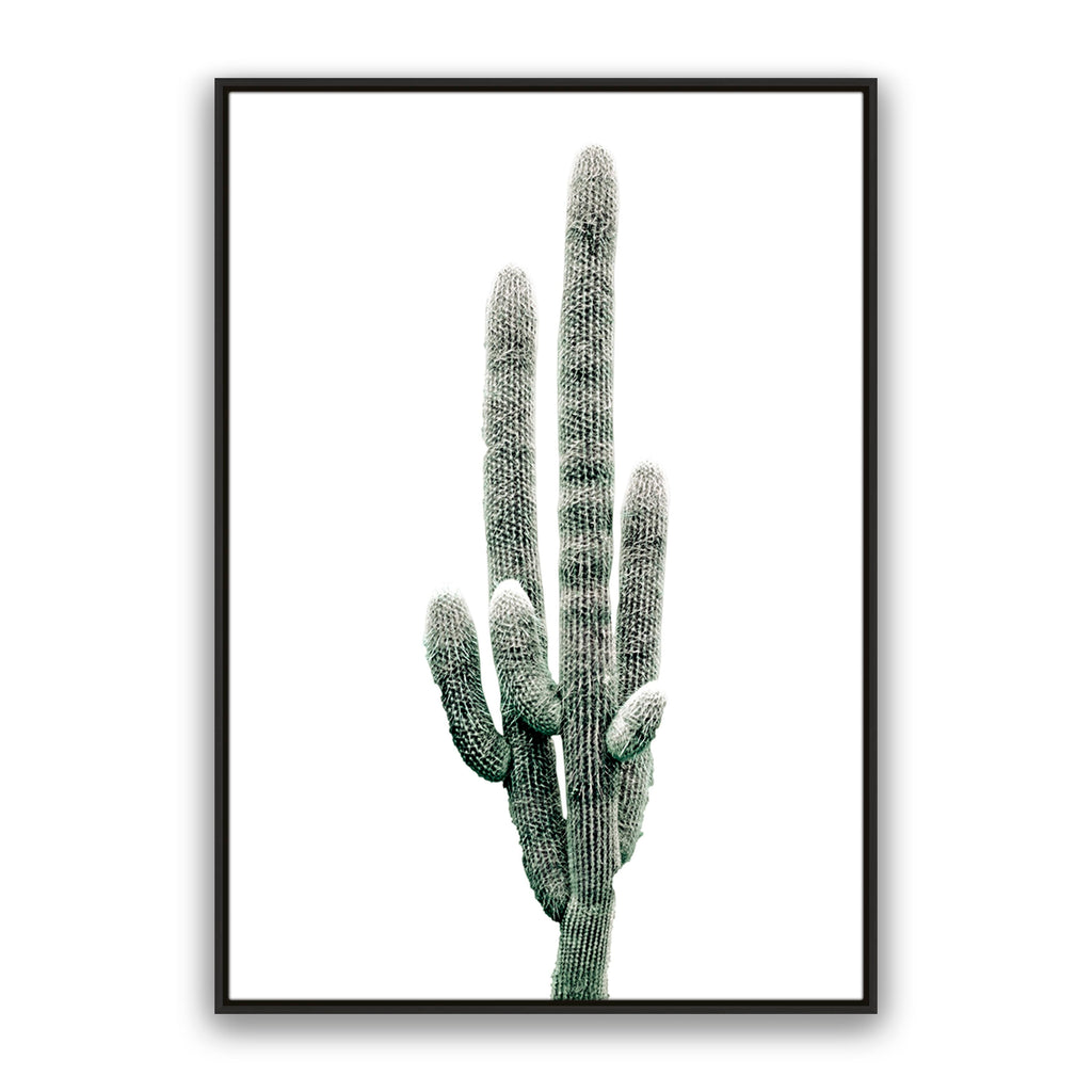 Saguaro