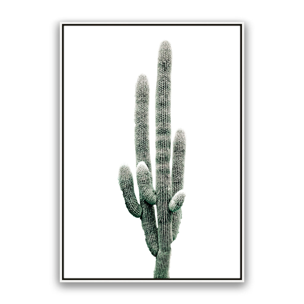 Saguaro
